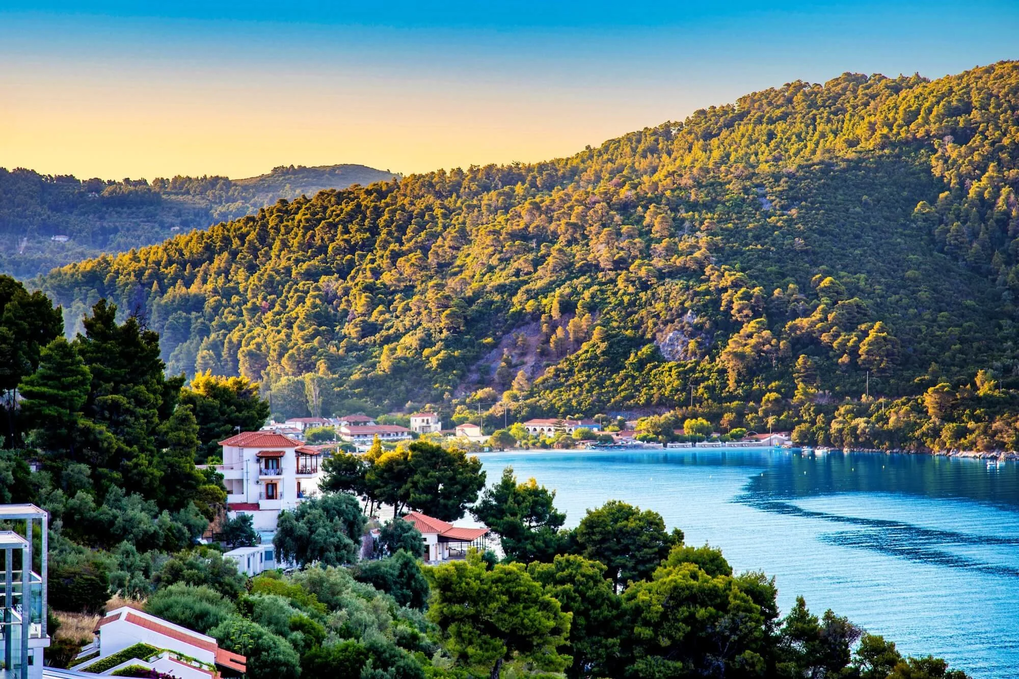 Skopelos Greece_2025_2600(s).jpg