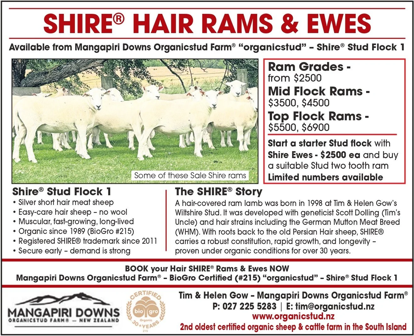 Advertisement for Shire Hair Rams and Ewes, outlining prices, availability, and benefits - 2026
