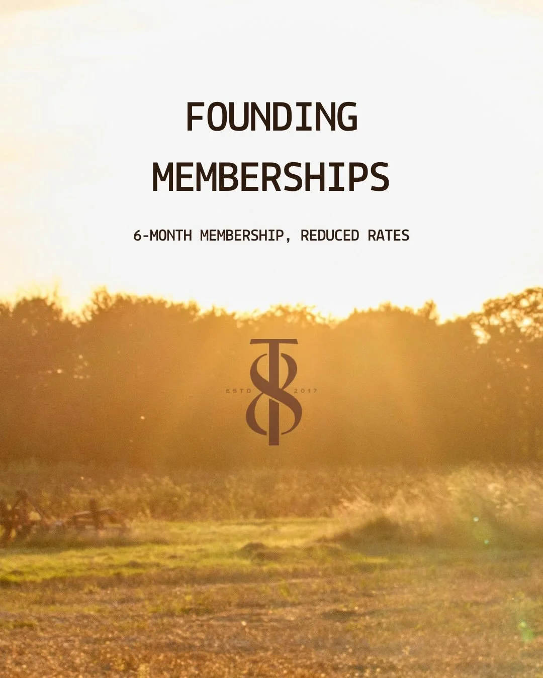 Founding Memberships ✨

A limited release to mark the opening of our new space. A six-month commitment at a preferred rate, available to those joining us at the start.

These are on Momence now, so if you want to sign up and register before booking g