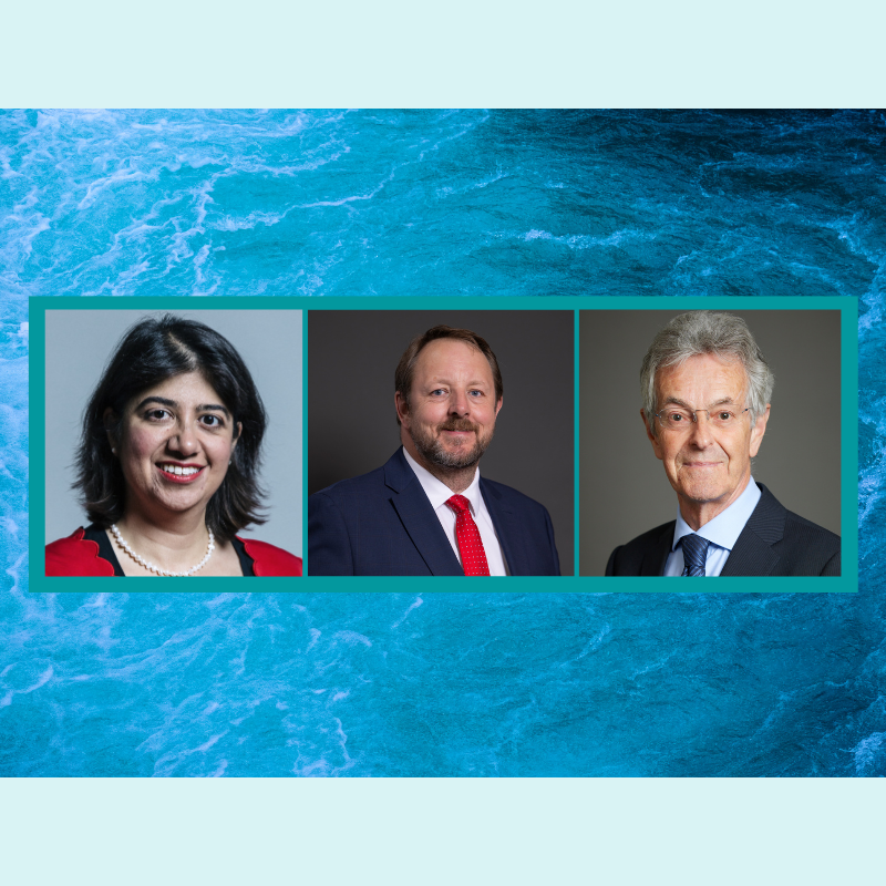 New APPG Members