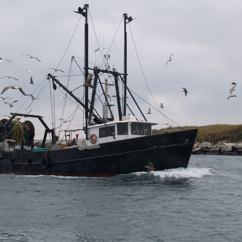 Parliamentarians call for action ahead of Fisheries Negotiations 