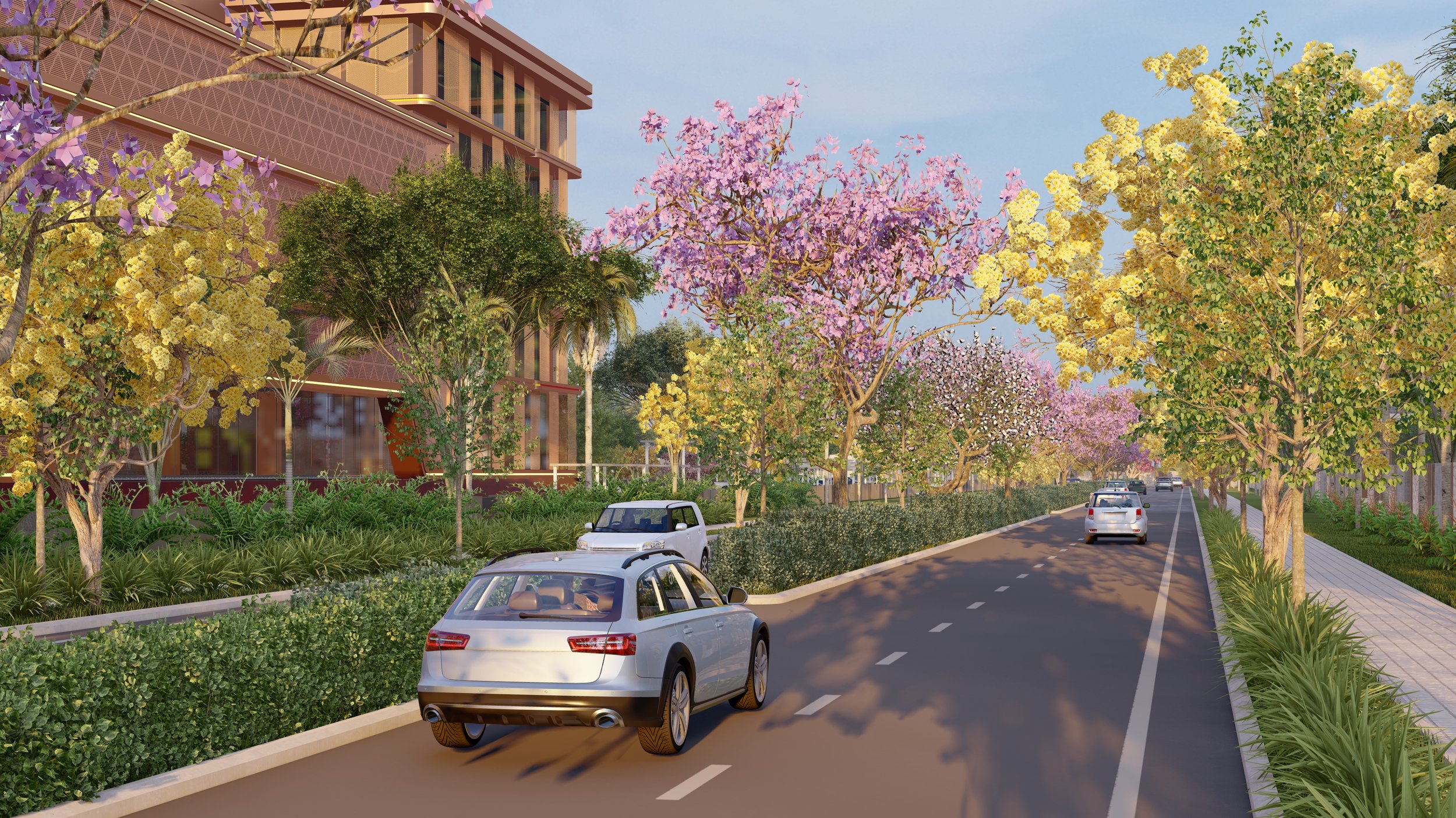 5. 15m Road.jpg