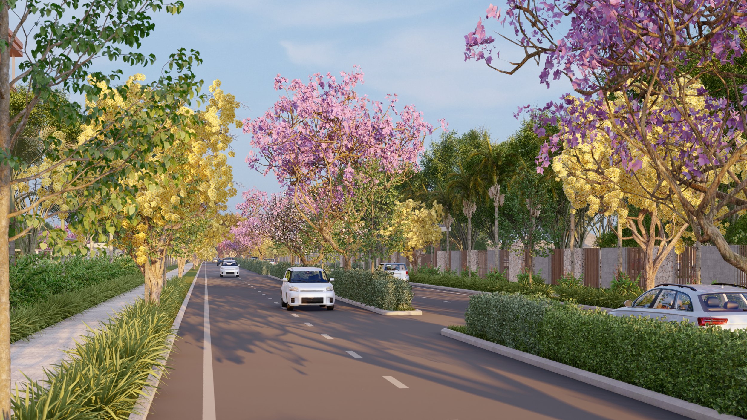 4. 15m Road.jpg