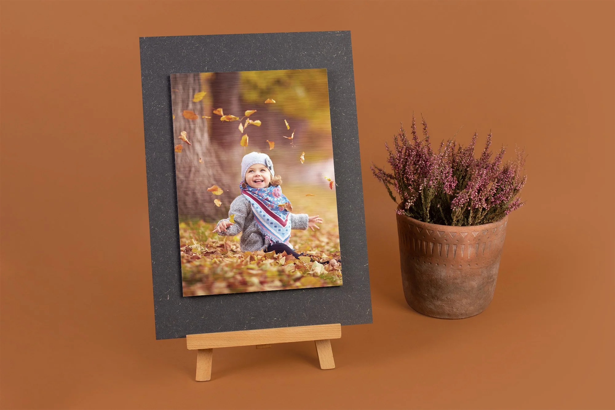 Isabell Fripon Fotografie Onlineshop Foto-auf-Alu-Dibond-Portraitfotografie-Kinderfotografie.jpg