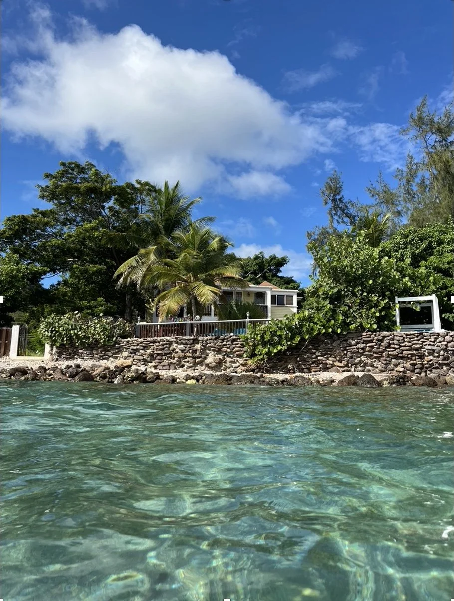 Image 1-14-26 at 15.41.JPG