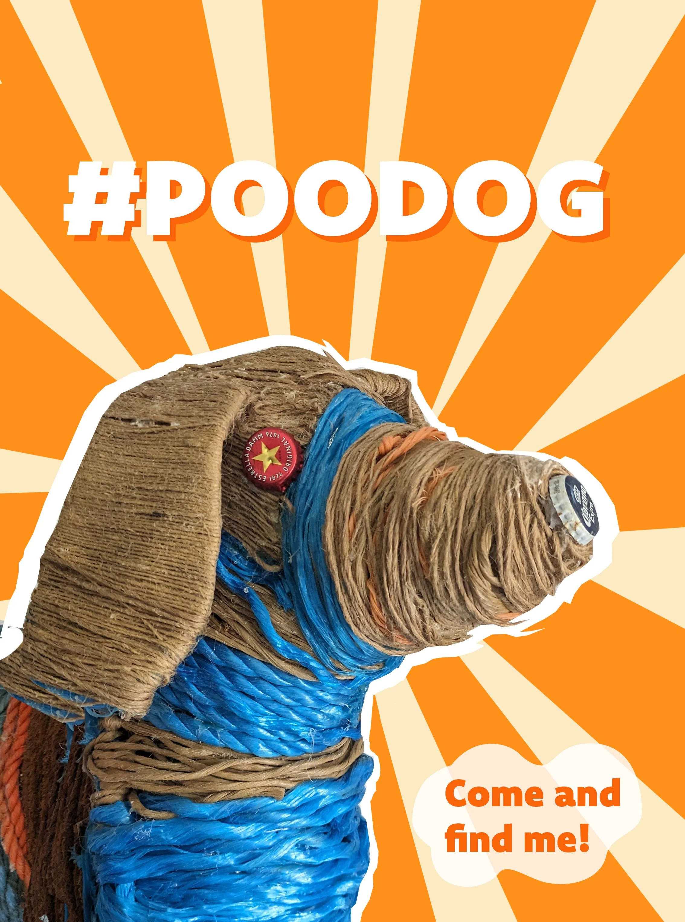 Poo Dog — Clean Cornwall