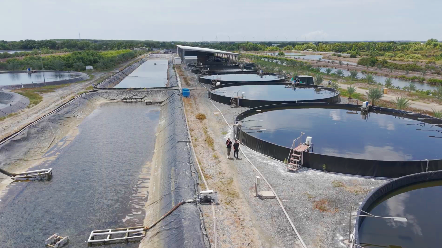 RYNAN Aquaculture - TOMGOXY shrimp farming system combining high-purity oxygen, laminar water flow, waste collection and pond monitoring