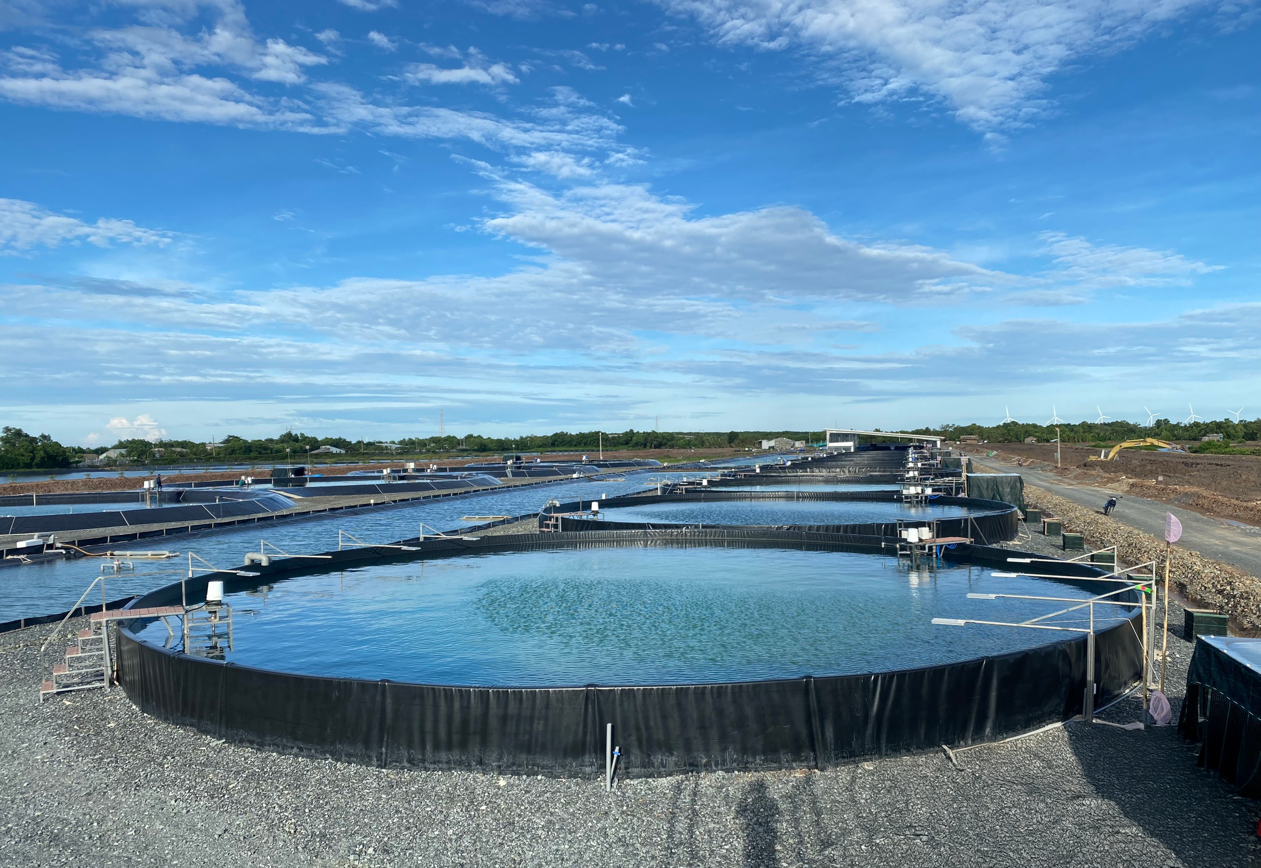 High-tech shrimp ponds at a RYNAN aquaculture shrimp farm