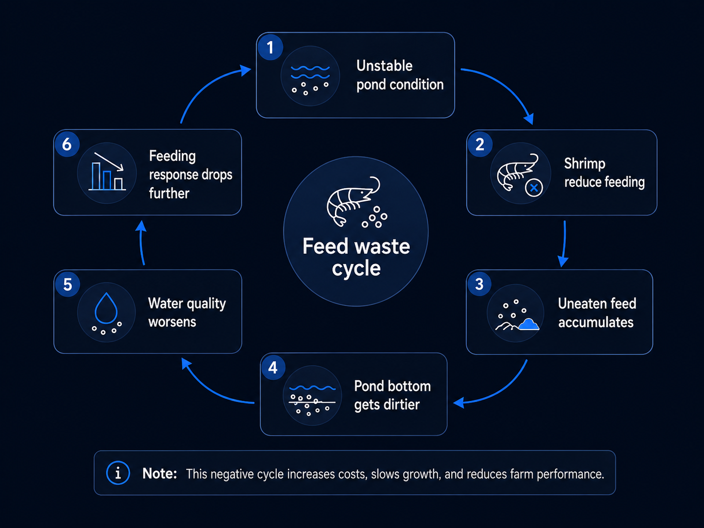 Illustrated cost of a common shrimp farming cycle
