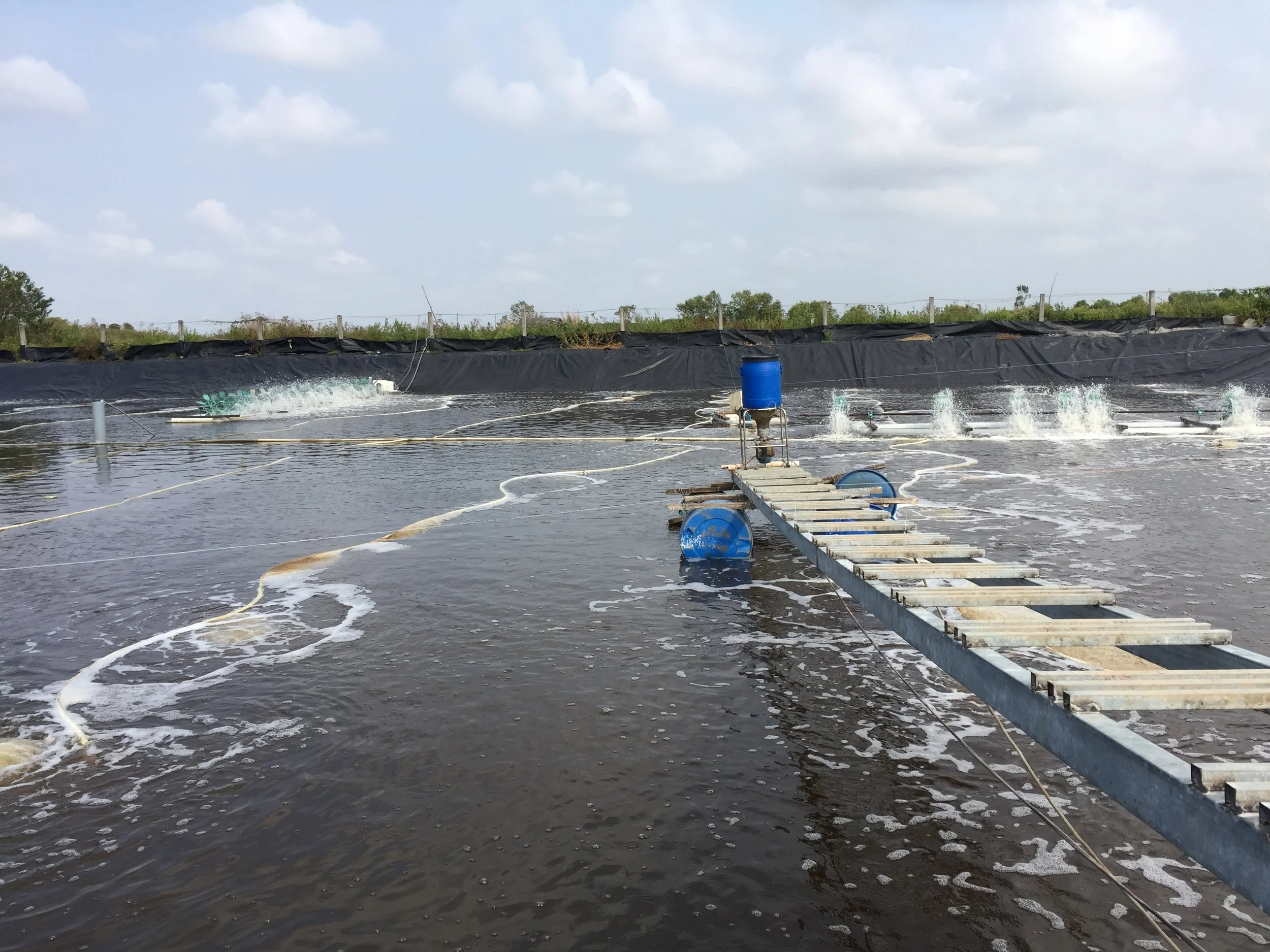 Traditional Auto feeder in shrimp pond