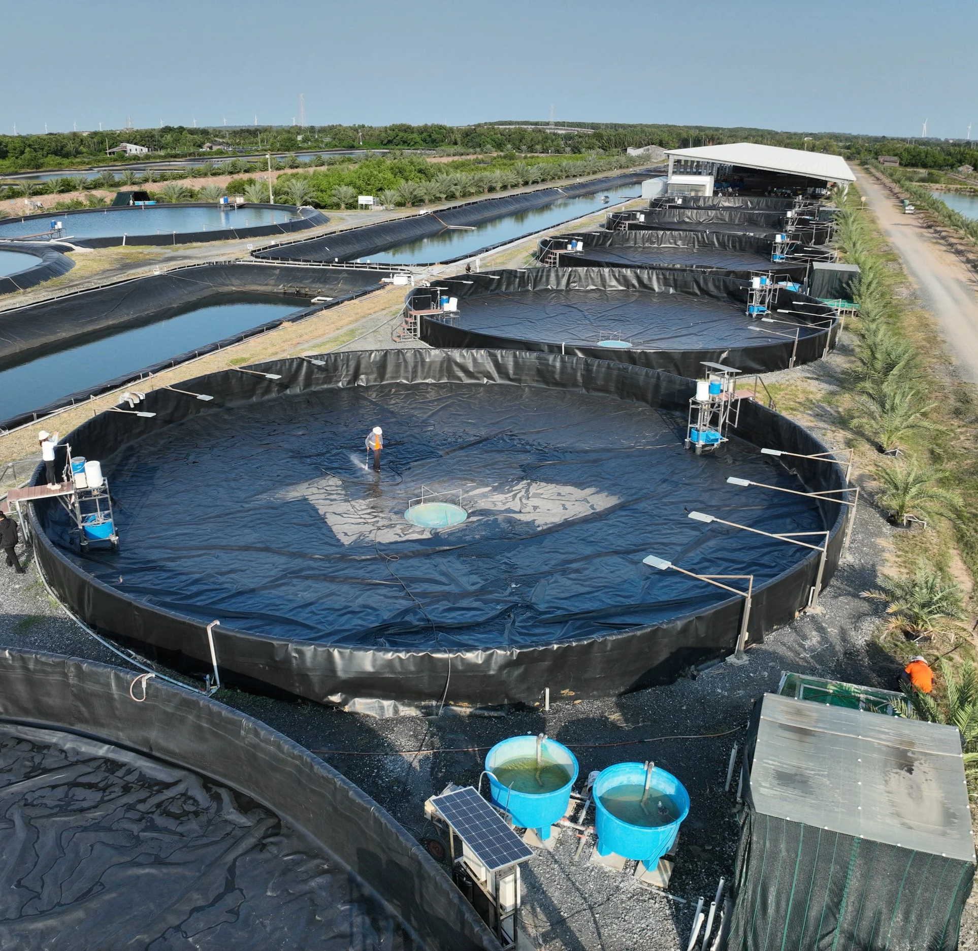 RYNAN Aquaculture - Overview look at Salicornia when it is empty
