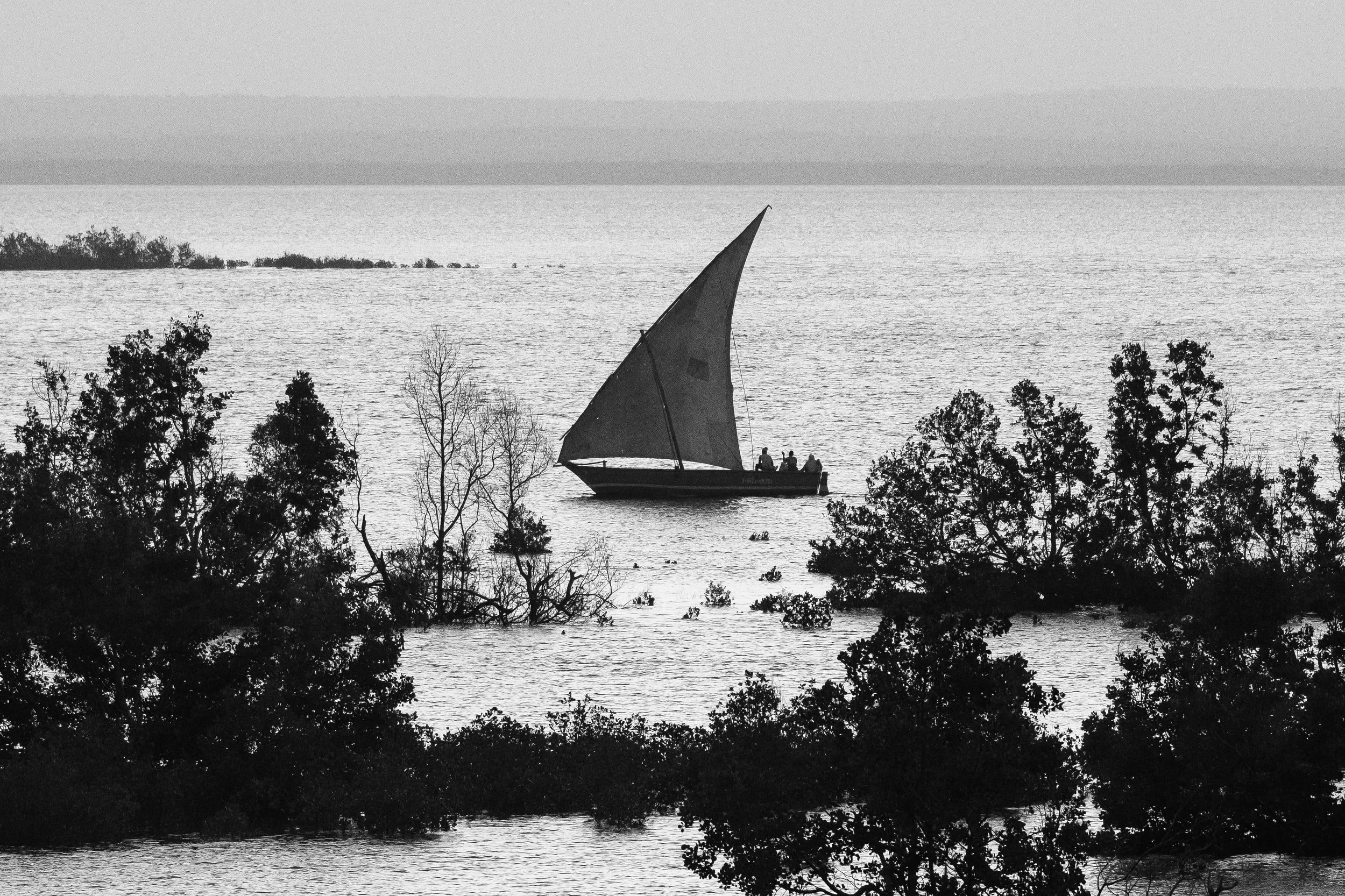 unsplash-image-gO3uzl86USU.jpg