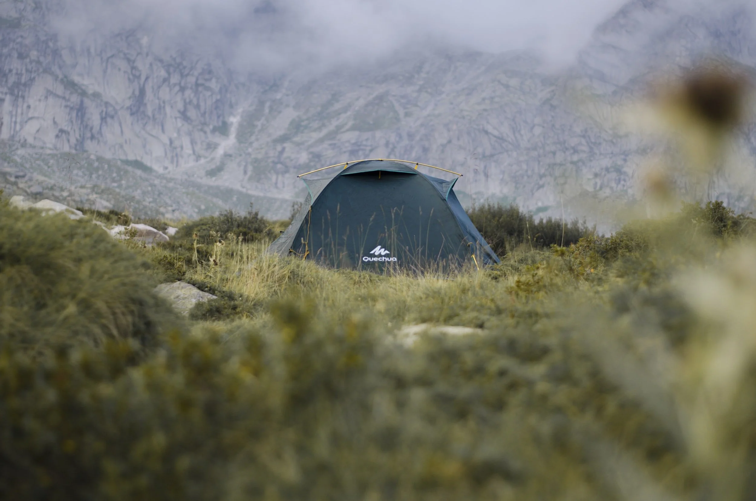unsplash-image-2ozmgnoEQVo.jpg