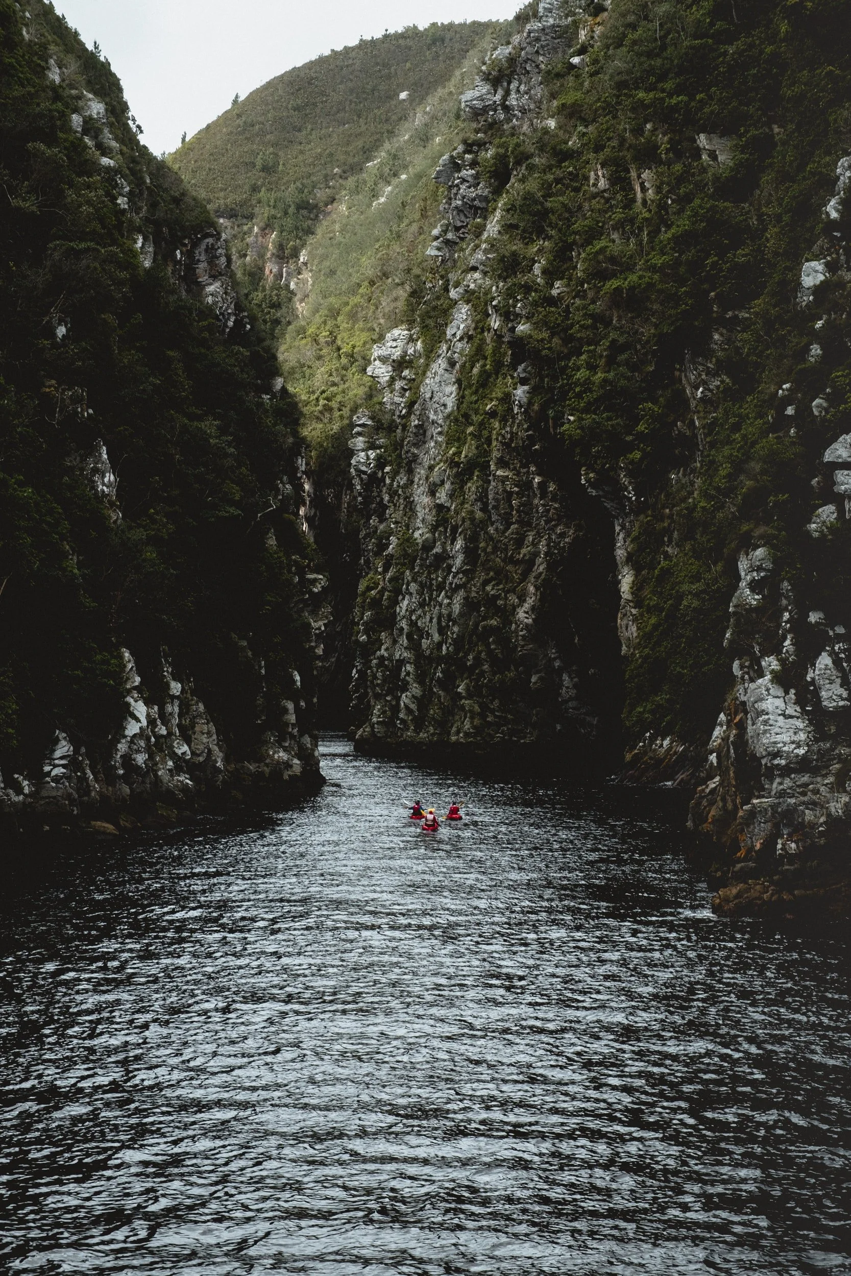 unsplash-image-JW1HKkDhsIU.jpg