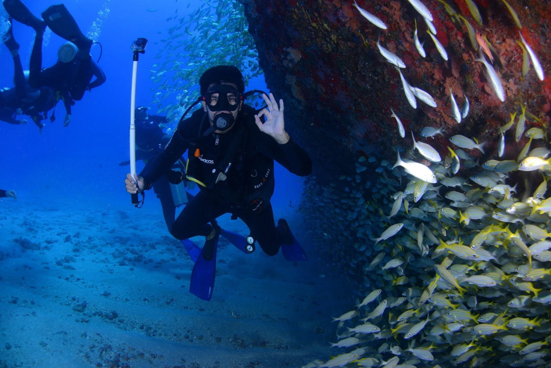 dive-1849534_1920.jpg