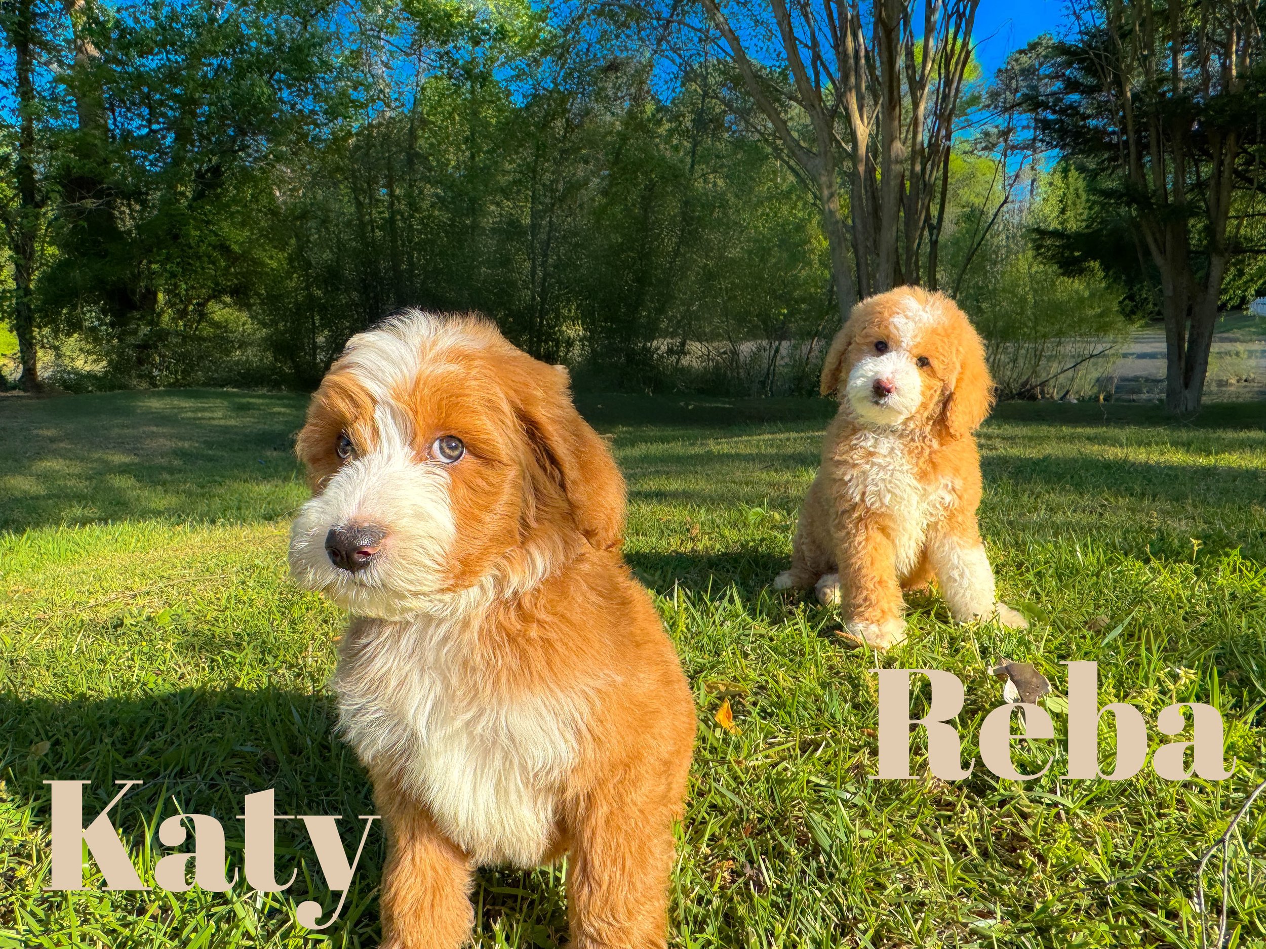 reba-katy.jpg
