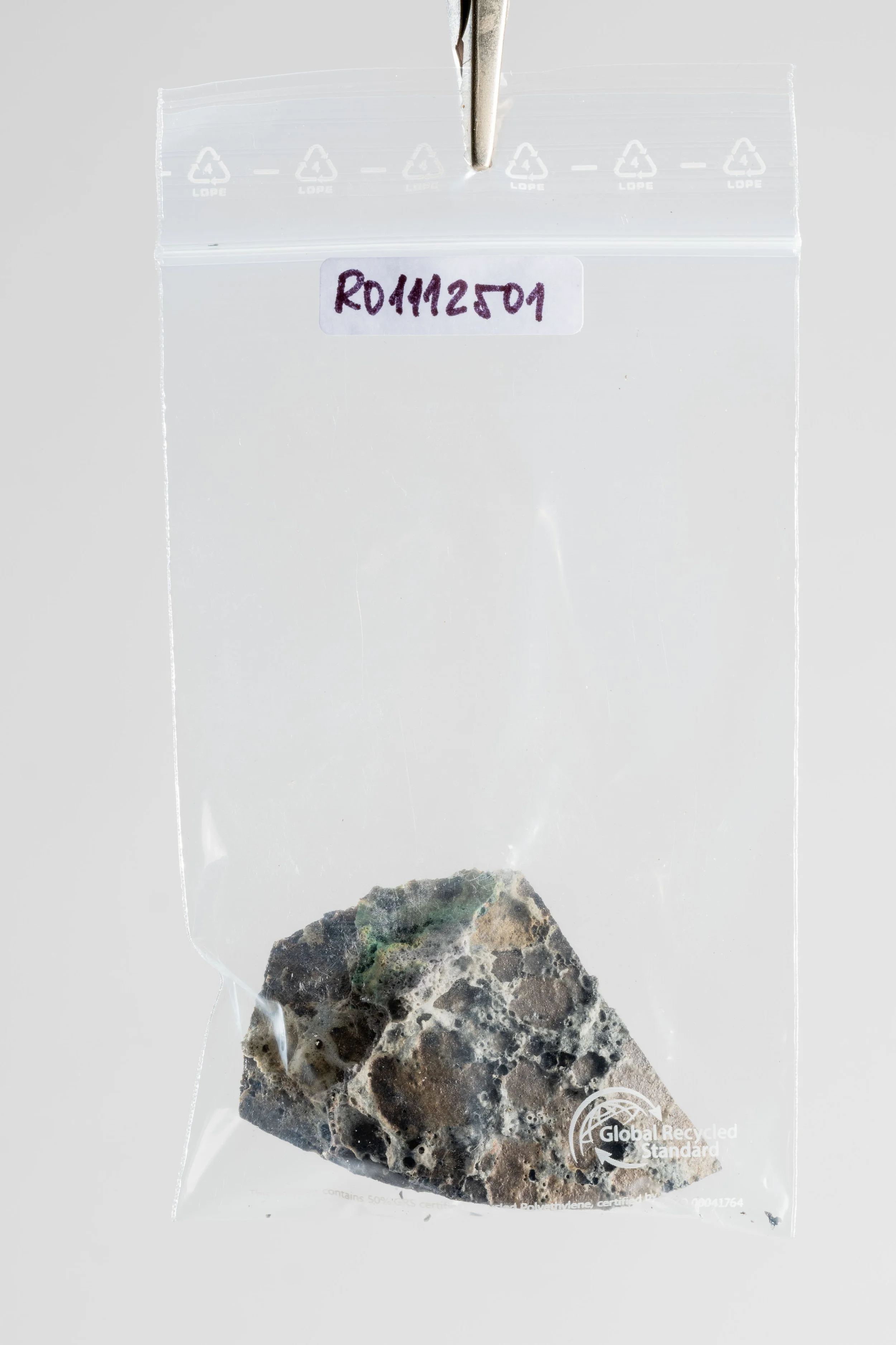 DSCF3379.jpg