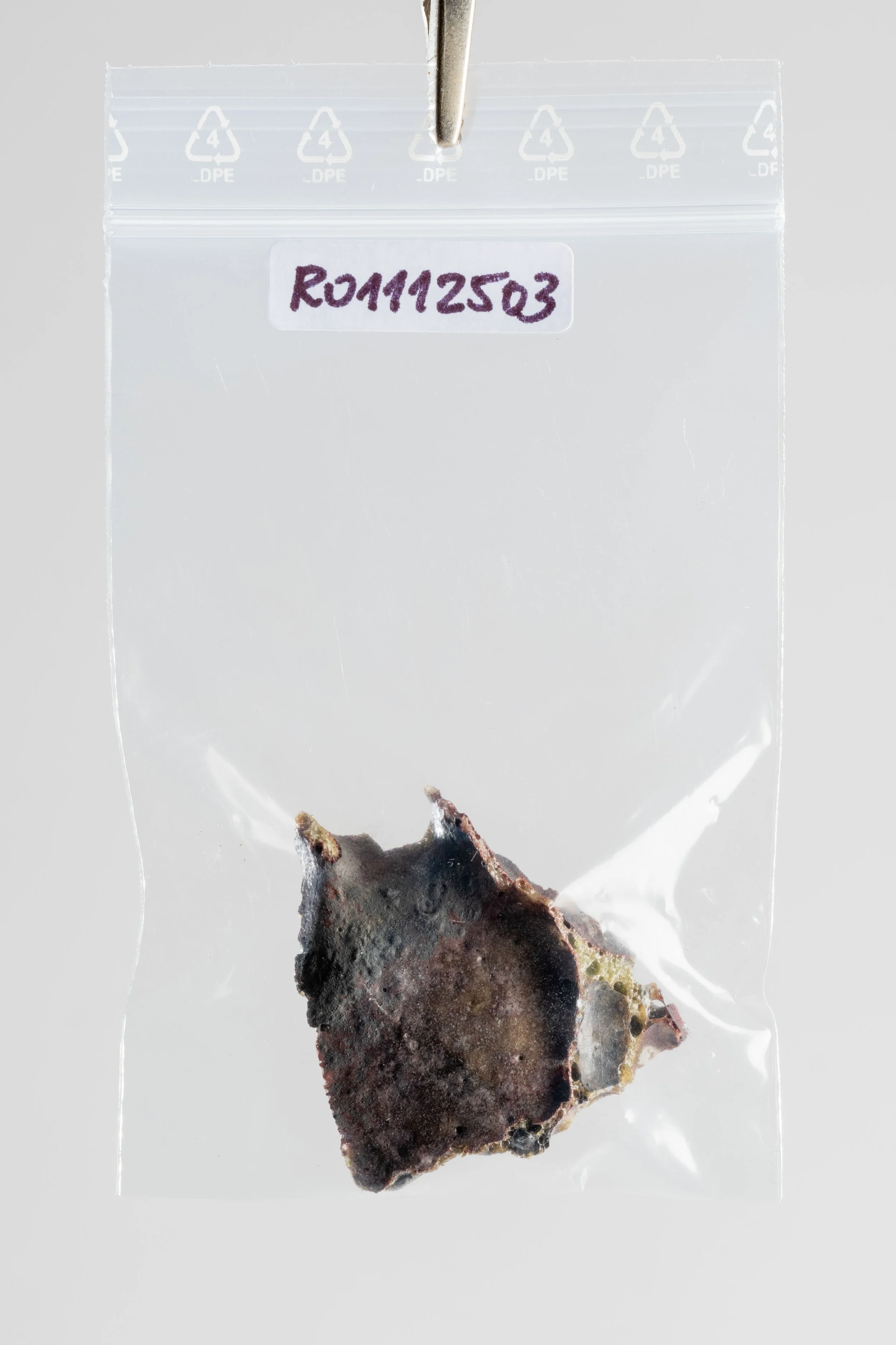 DSCF3465.jpg