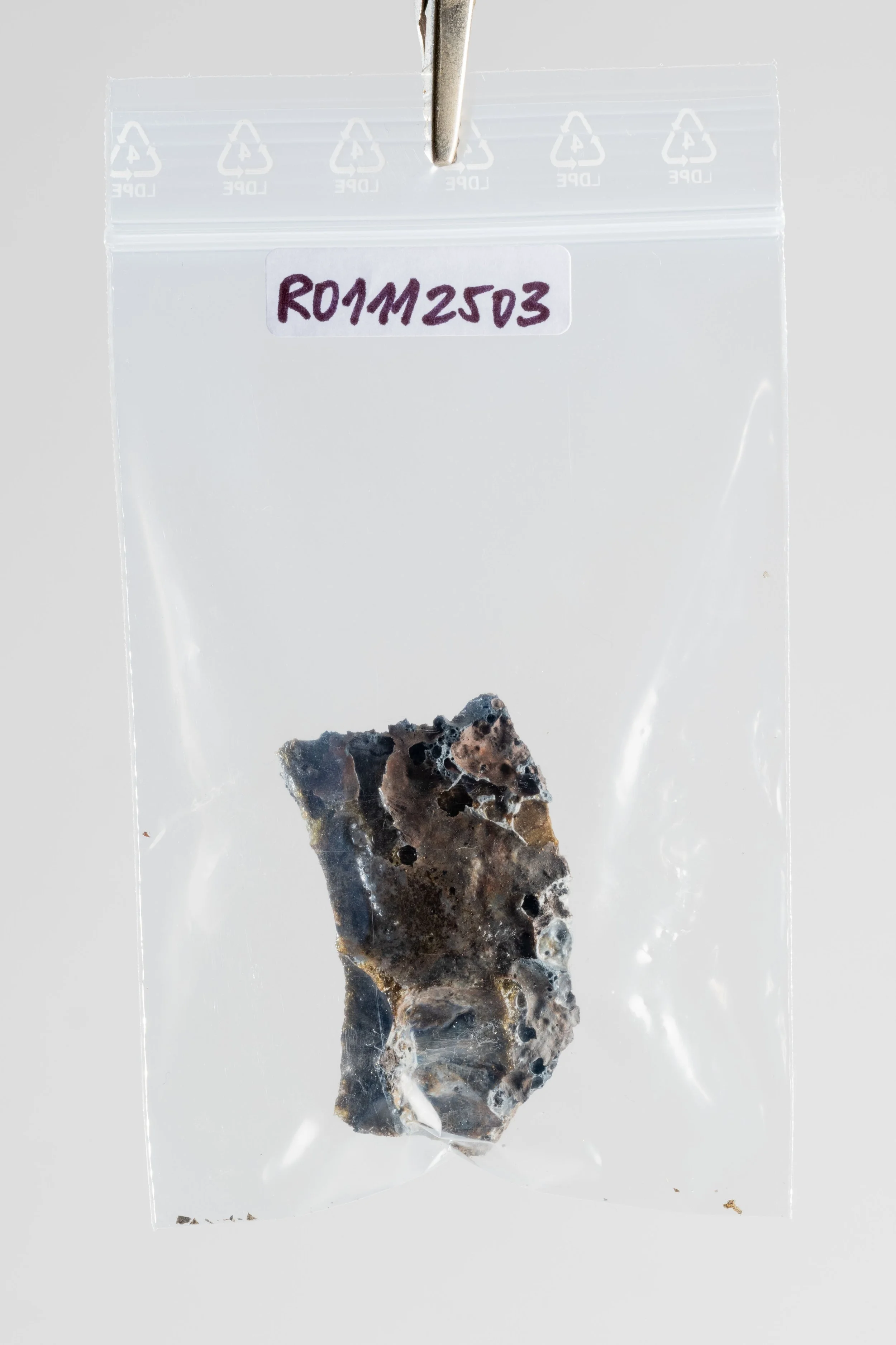 DSCF3450.jpg