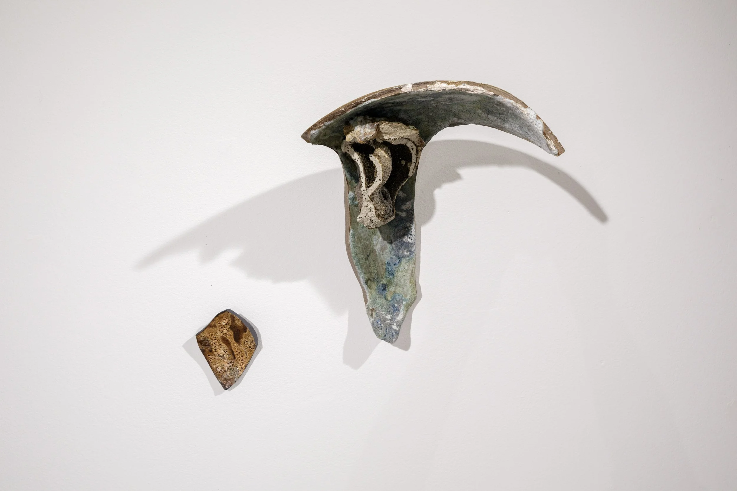 DSCF8411.jpg