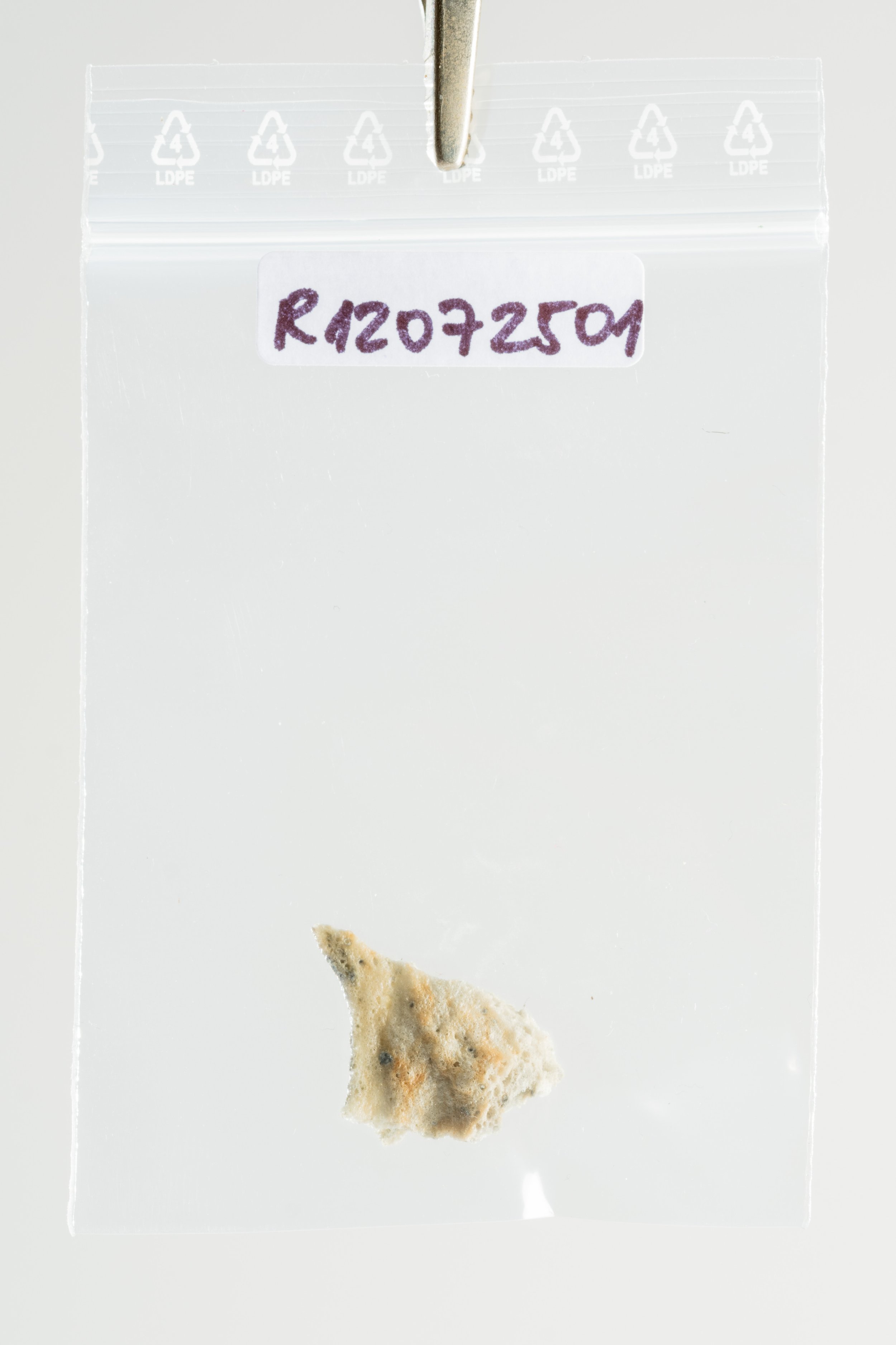 Disintegrated body, detail - sculpture (31).jpg