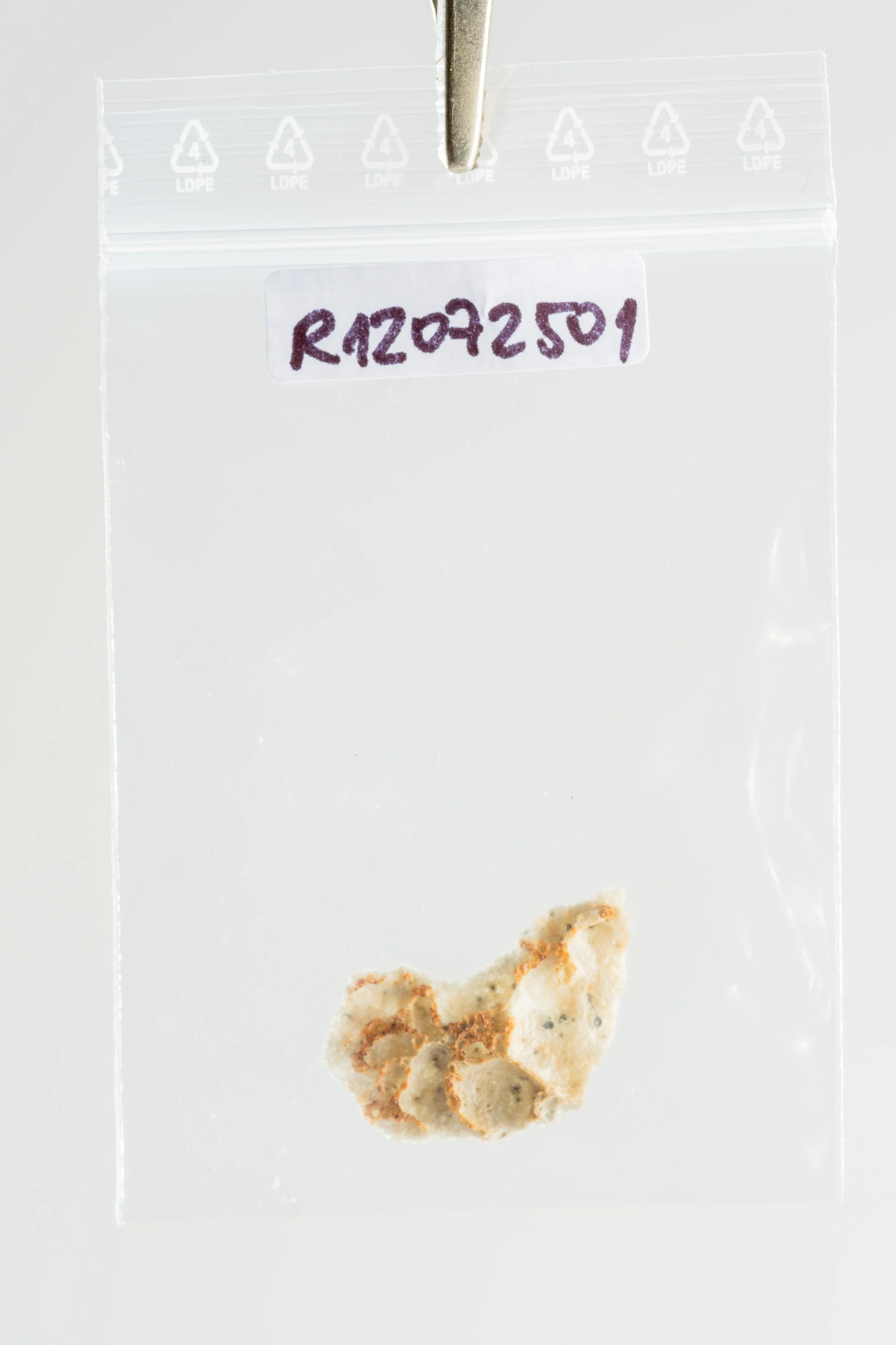 Disintegrated body, detail - sculpture (14).jpg