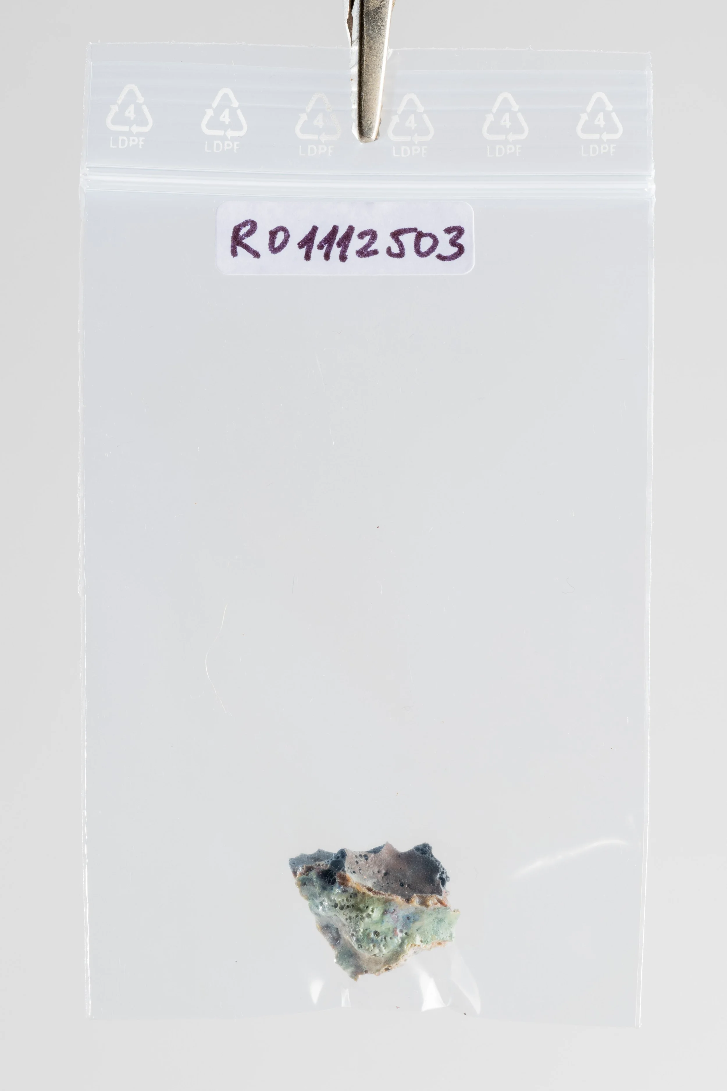 DSCF3411.jpg