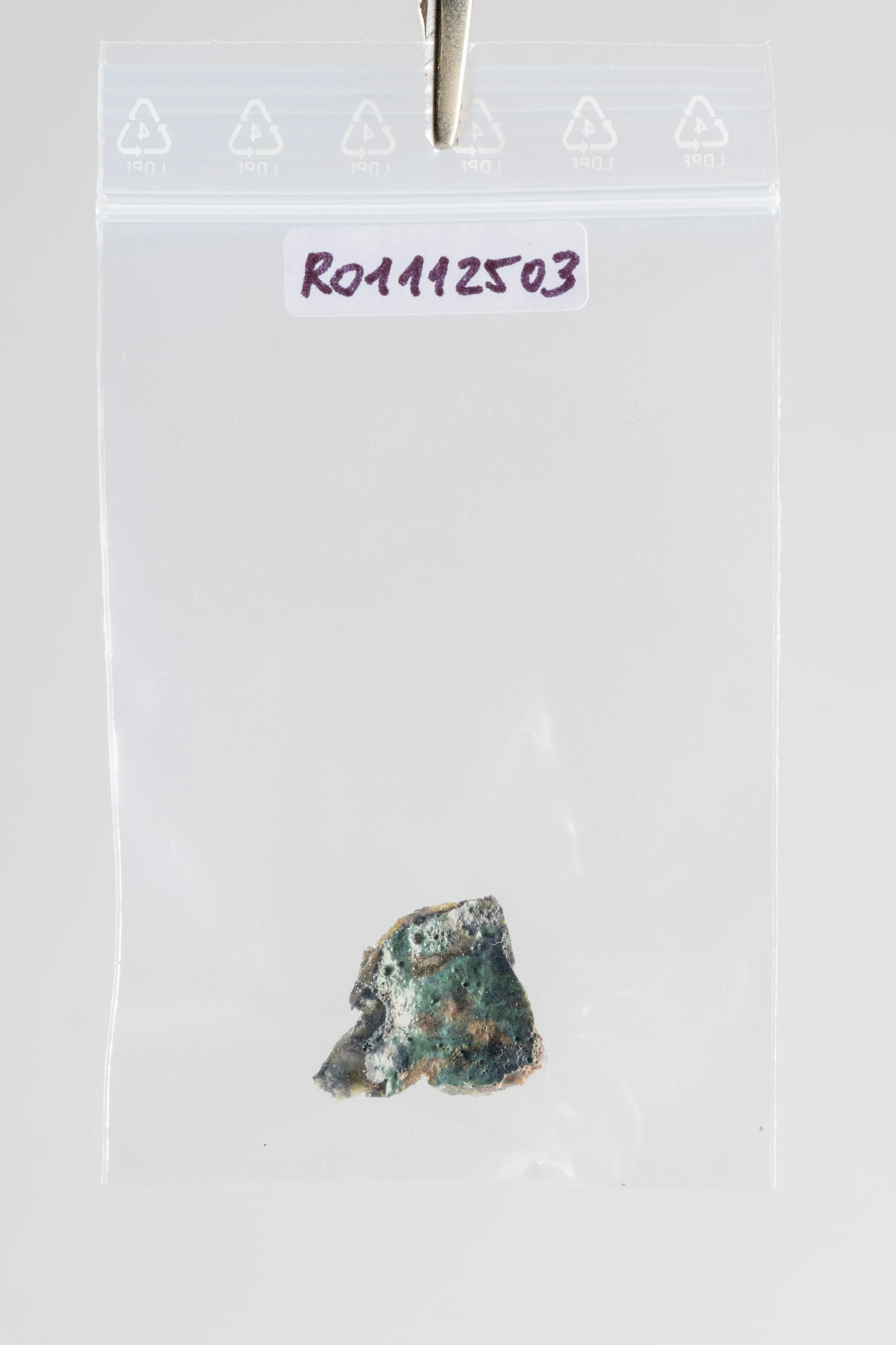 DSCF3479.jpg