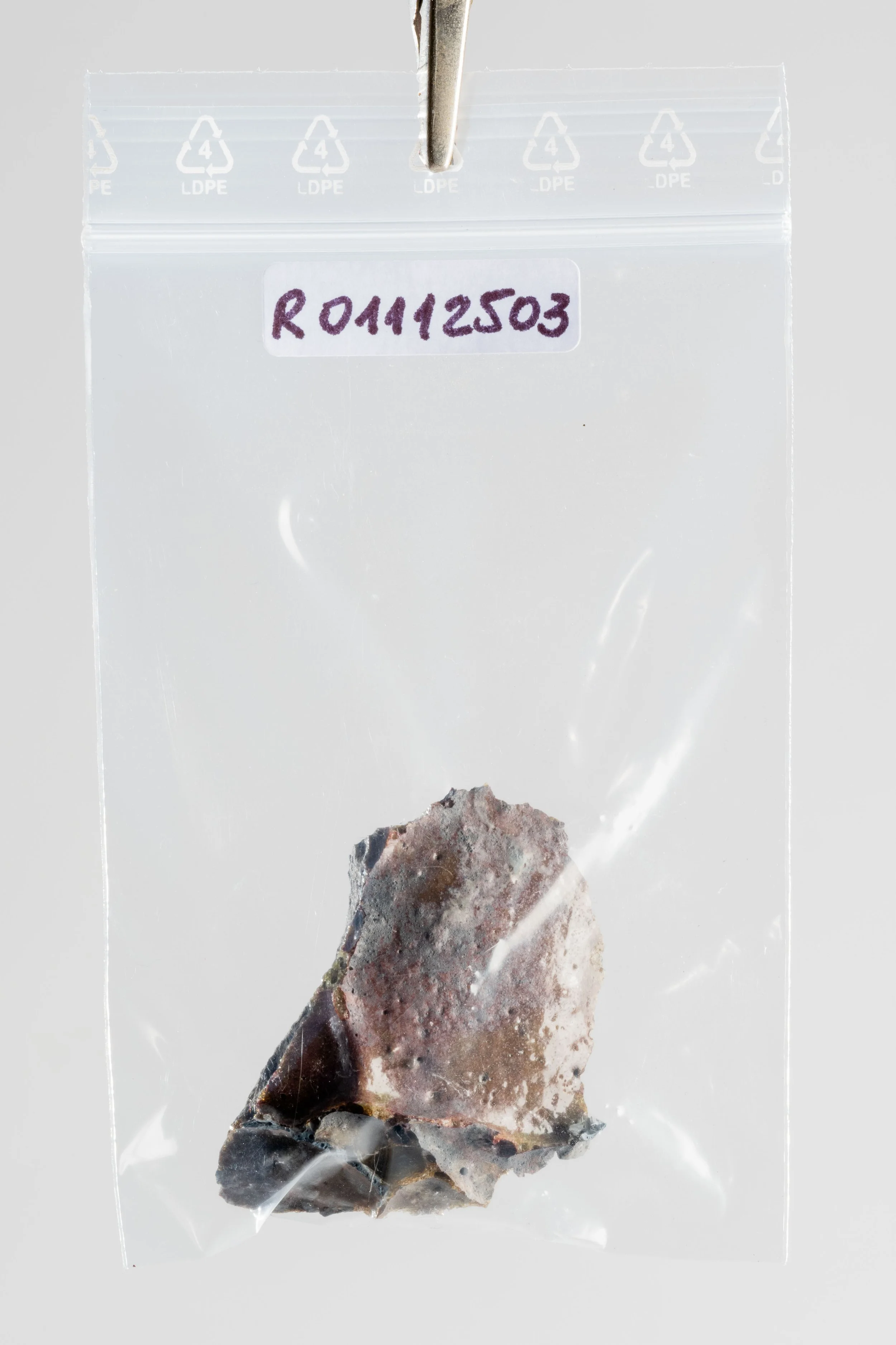 DSCF3449.jpg