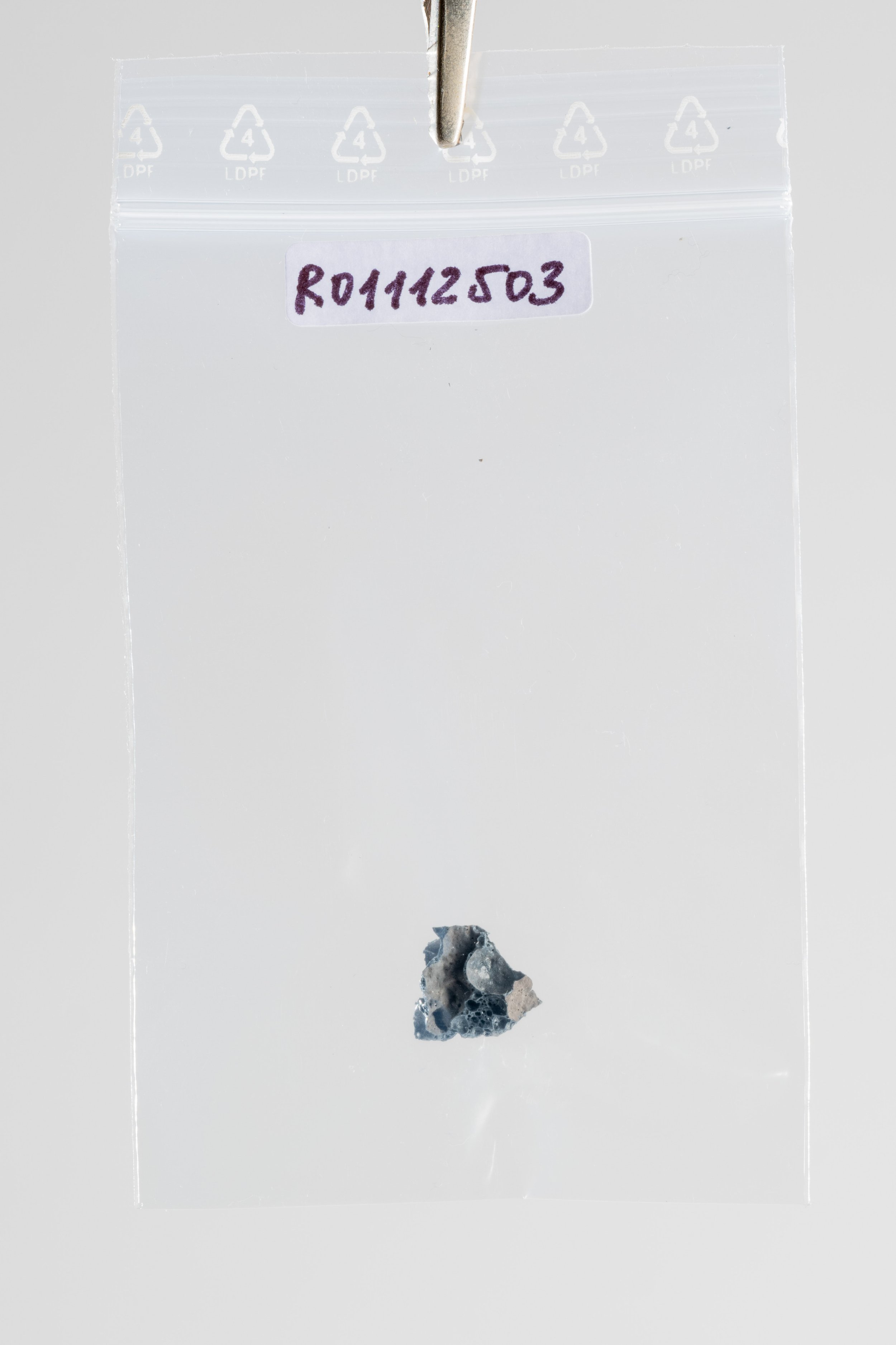 DSCF3467.jpg