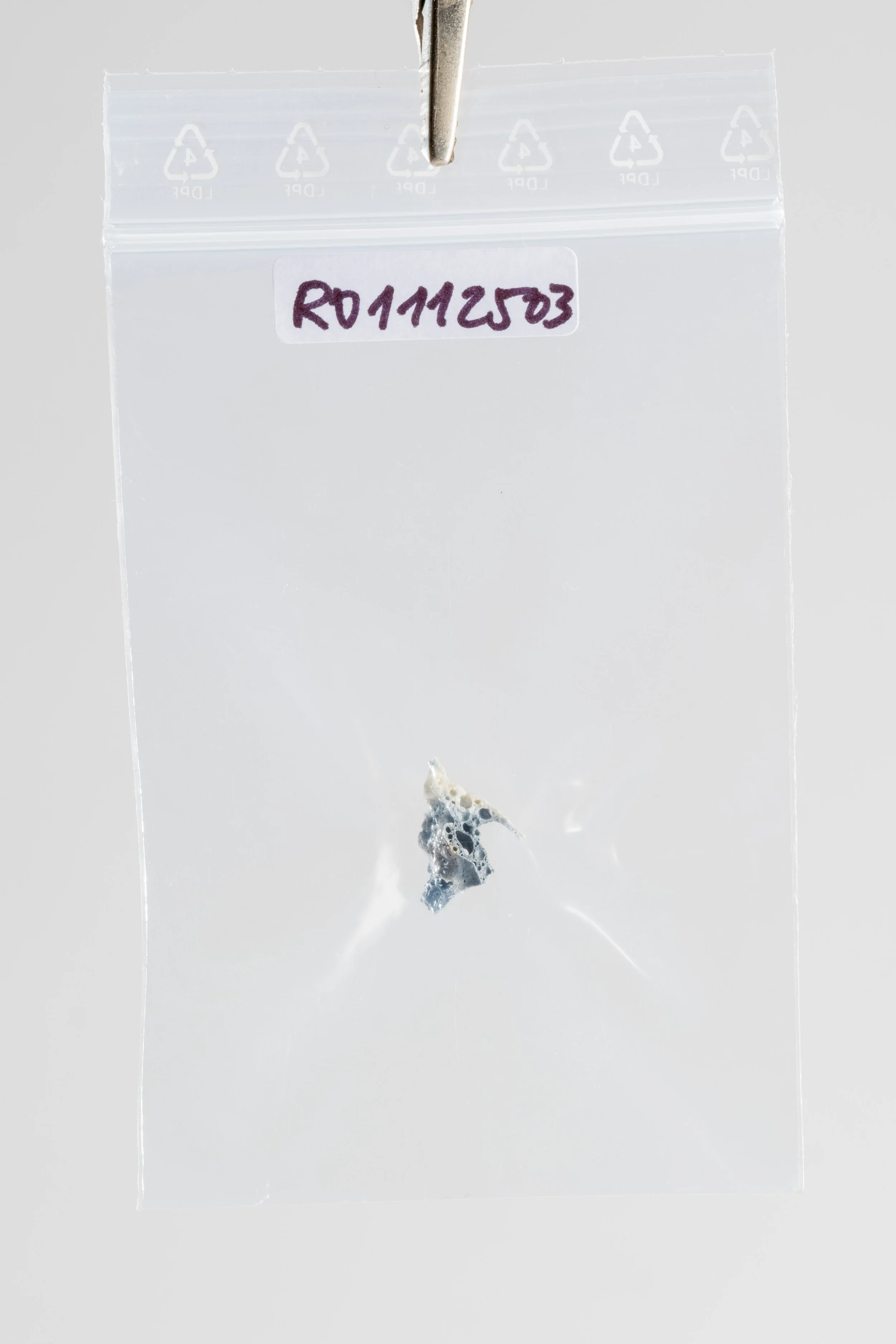 DSCF3453.jpg