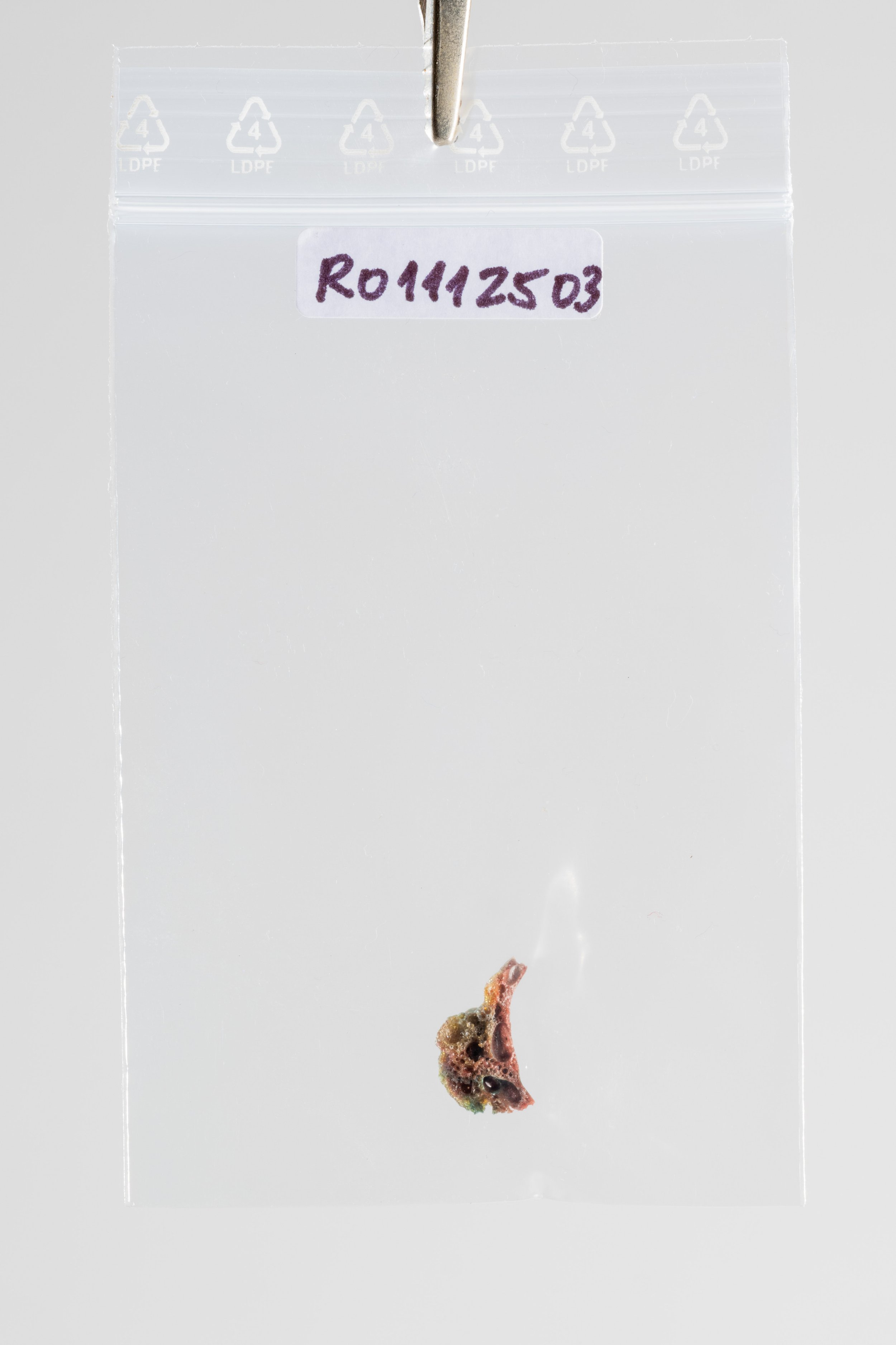 DSCF3480.jpg