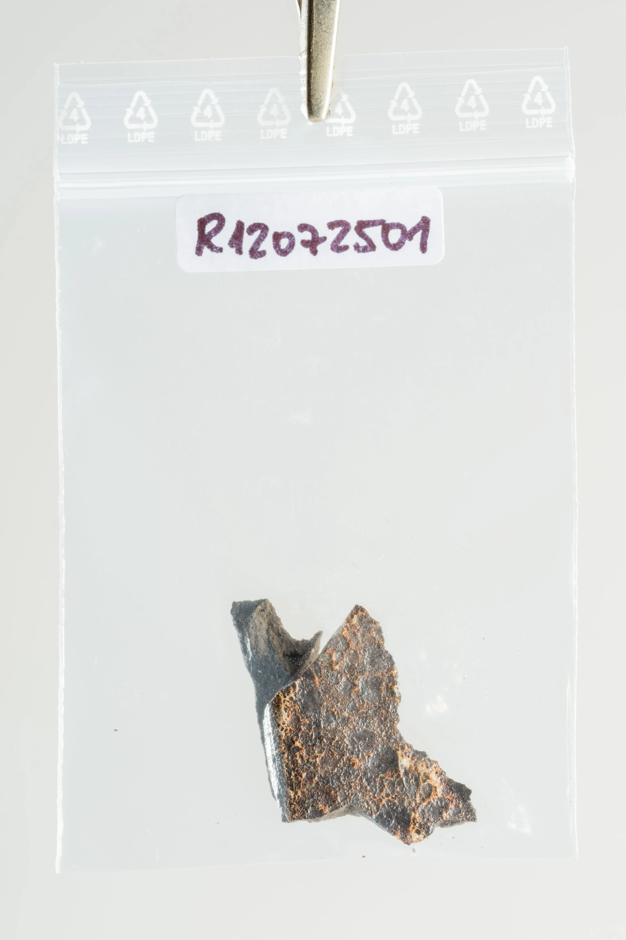 Disintegrated body, detail - sculpture (4).jpg