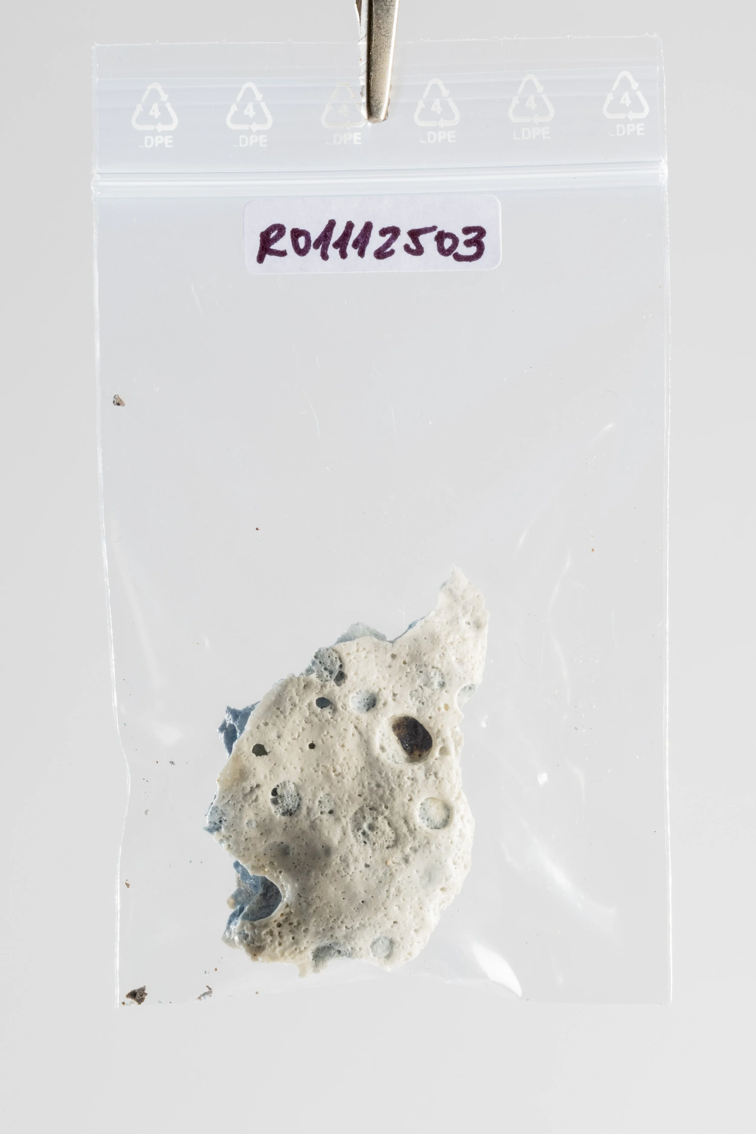 DSCF3481.jpg