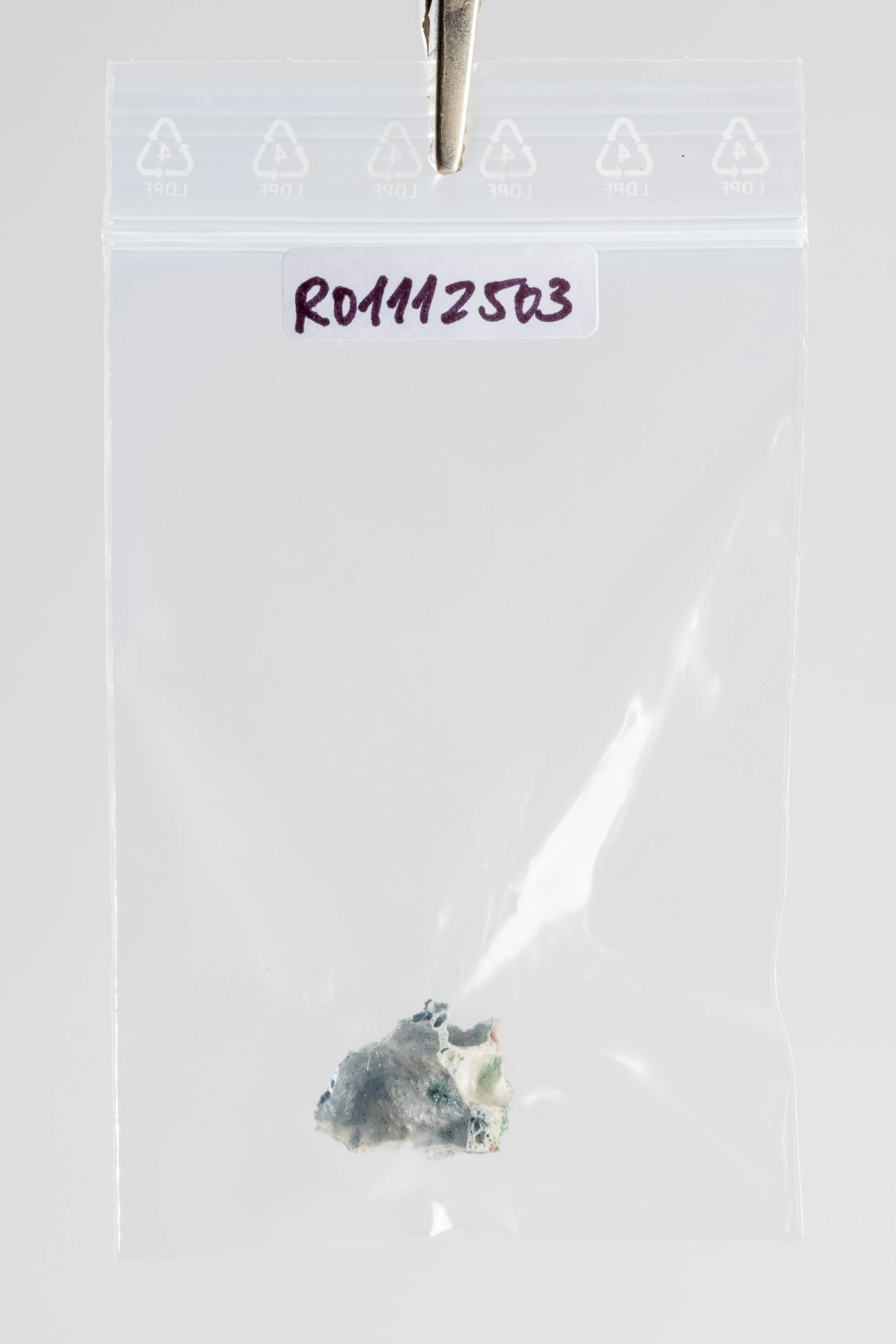 DSCF3418.jpg