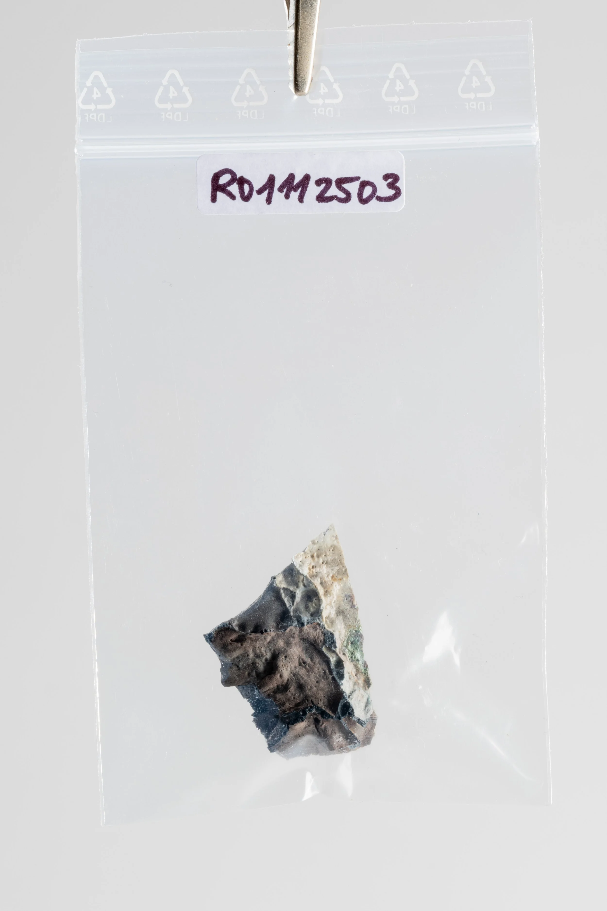 DSCF3473.jpg