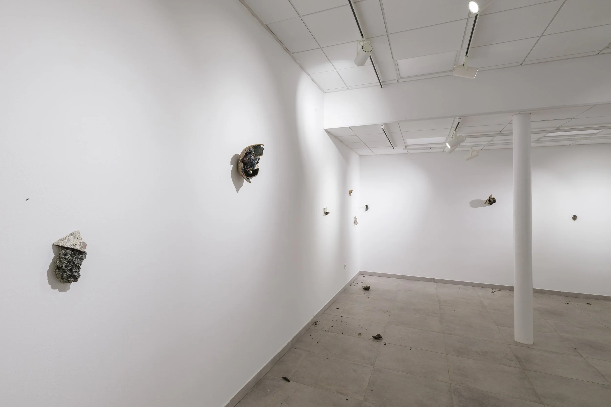 DSCF8164.jpg