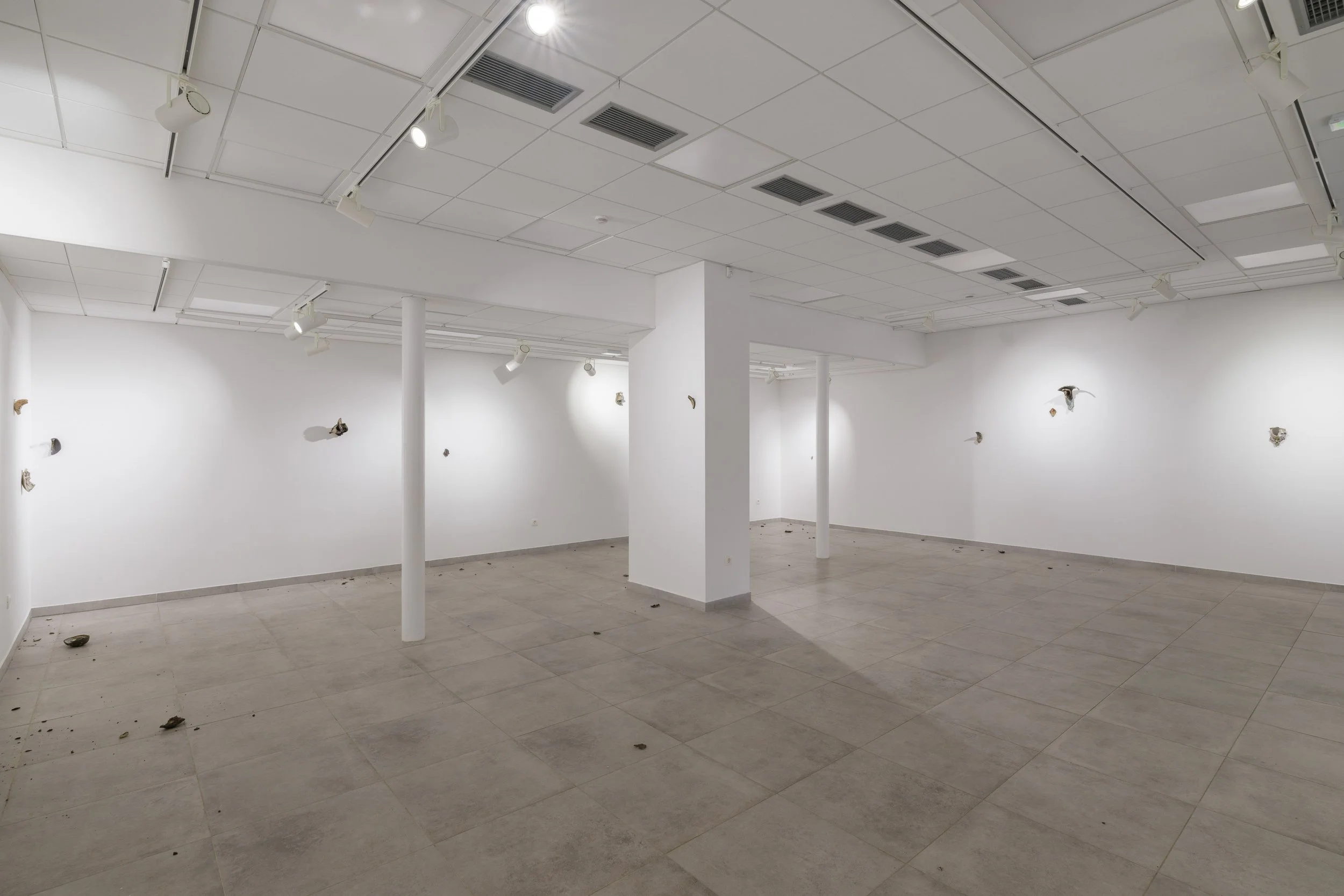 DSCF8171.jpg