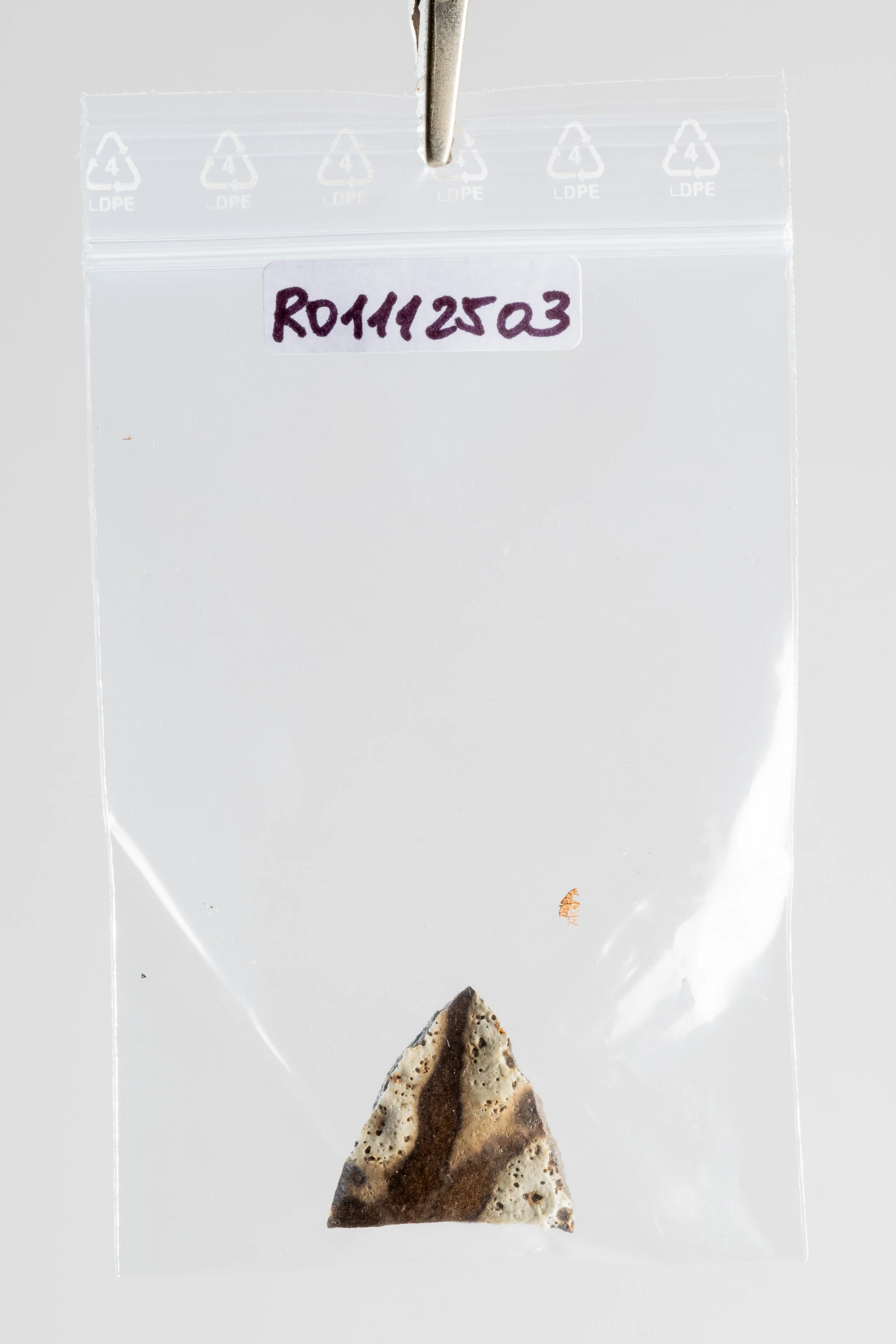DSCF3445.jpg