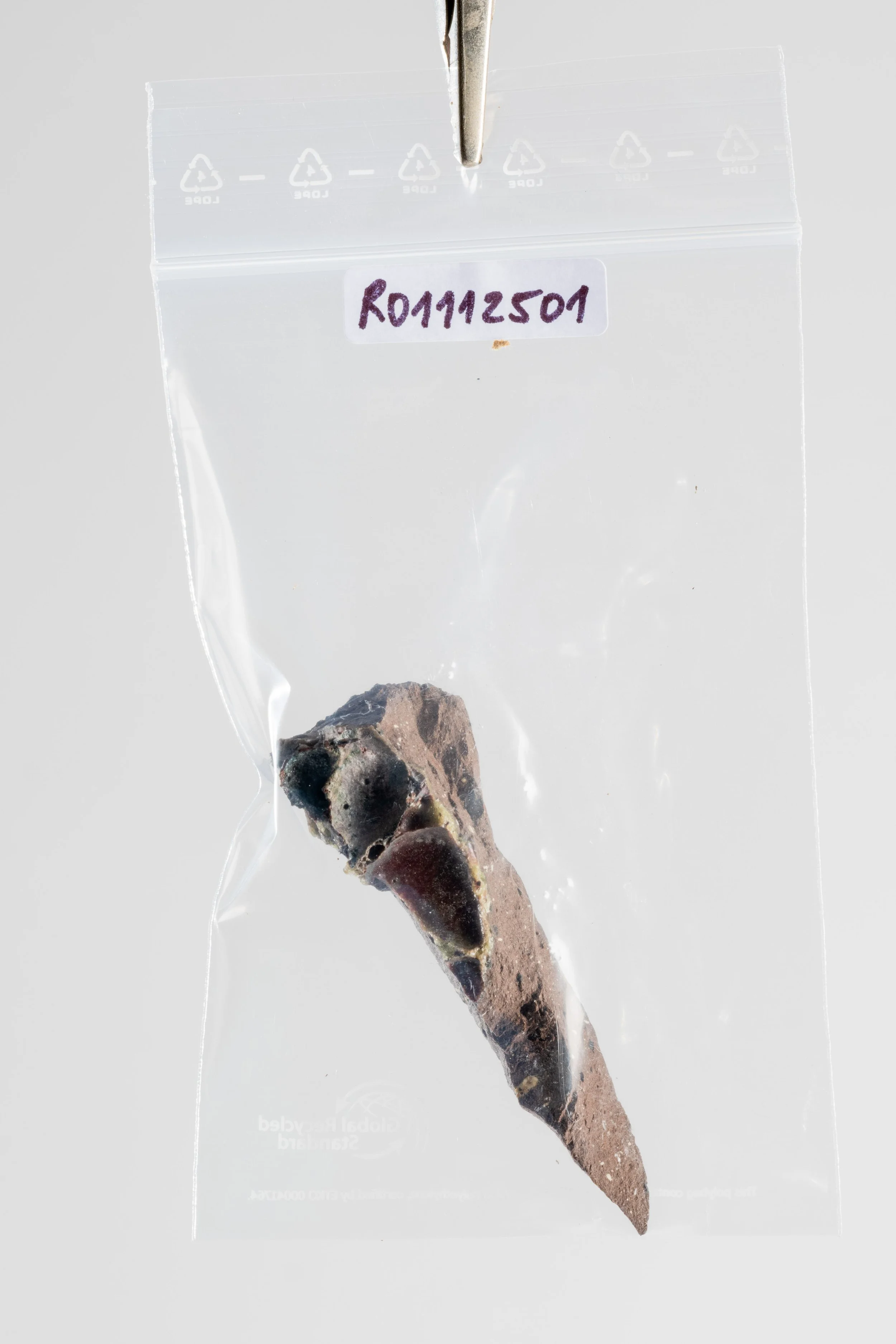 DSCF3389.jpg