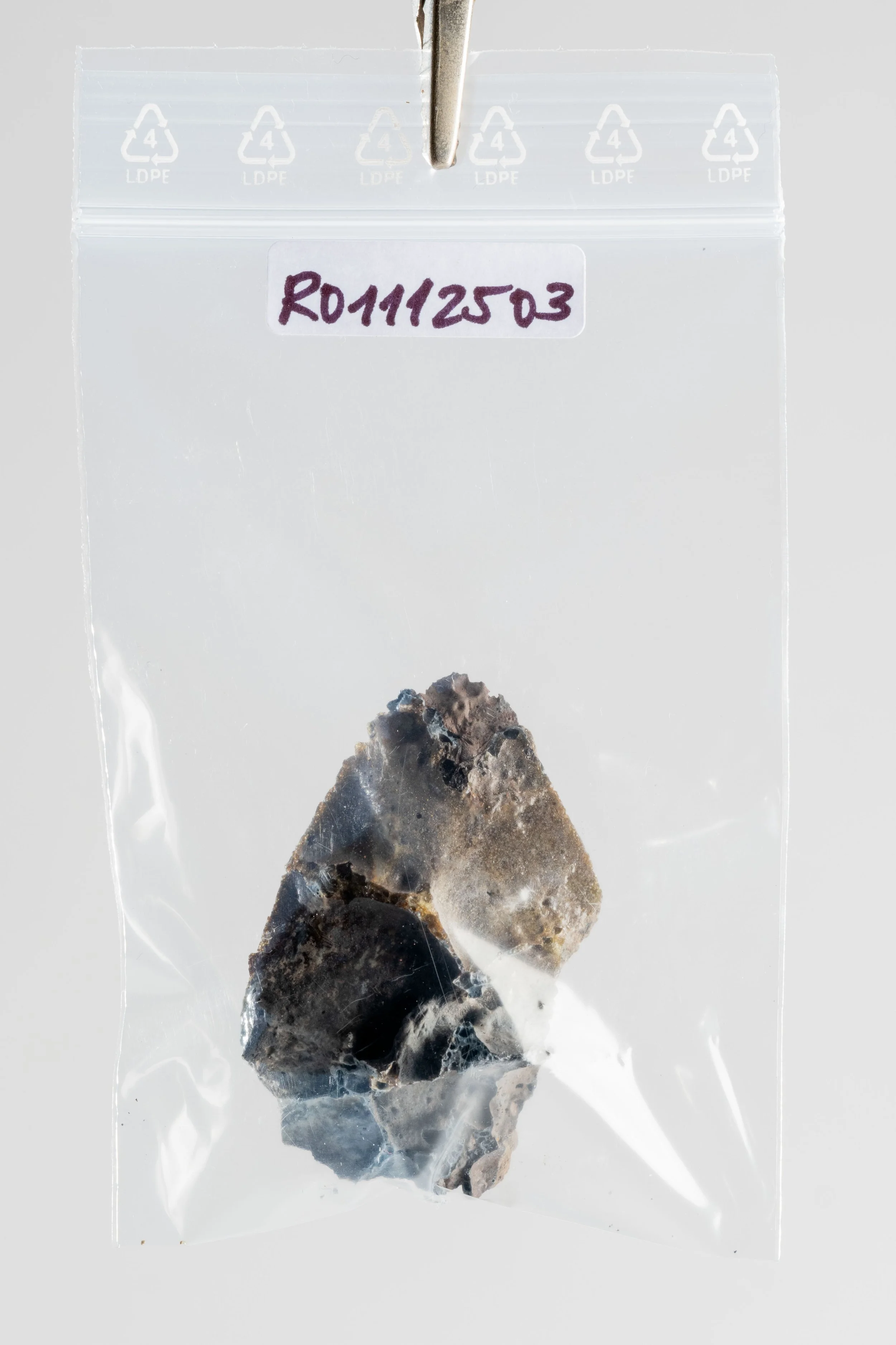 DSCF3446.jpg