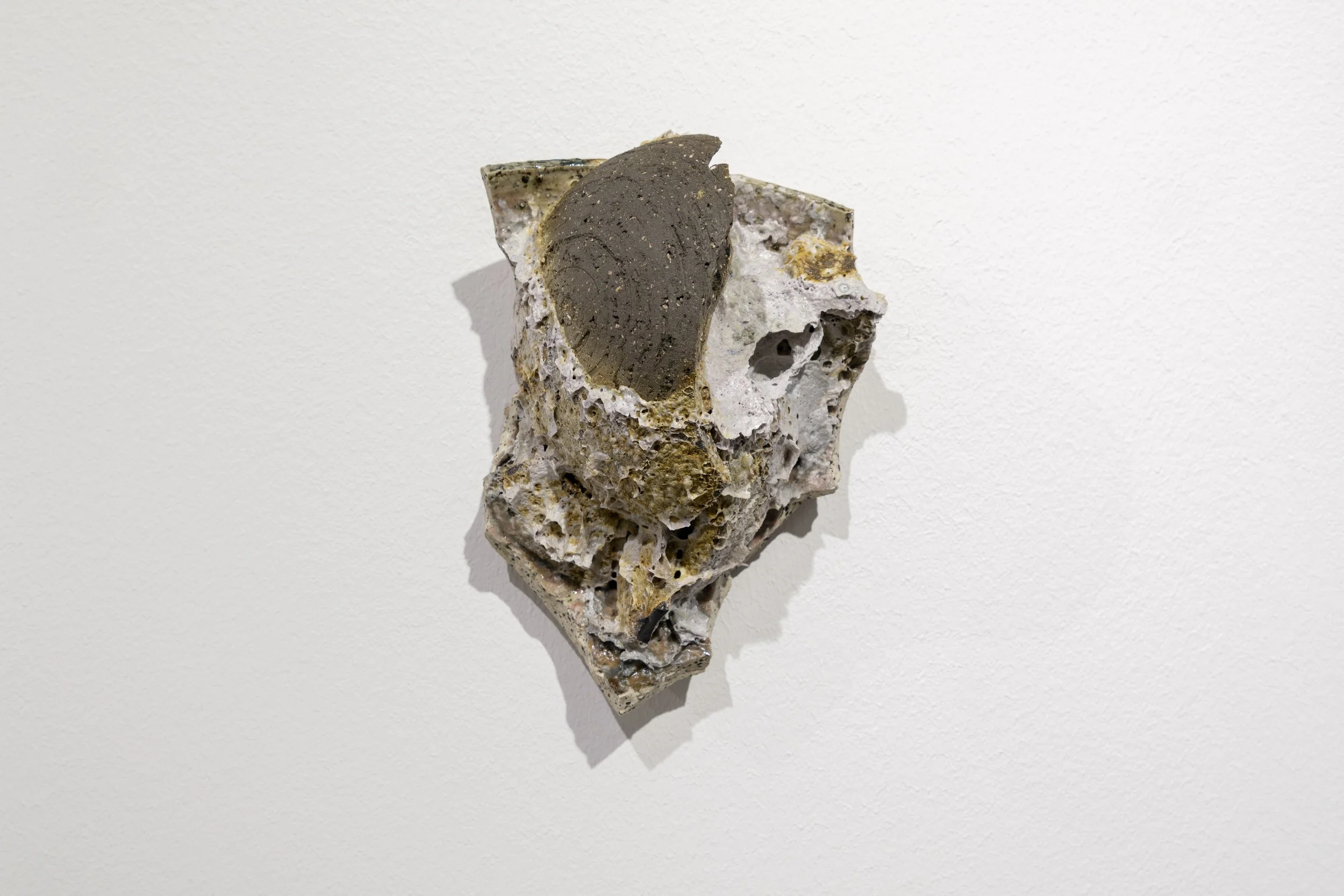 DSCF8150.jpg