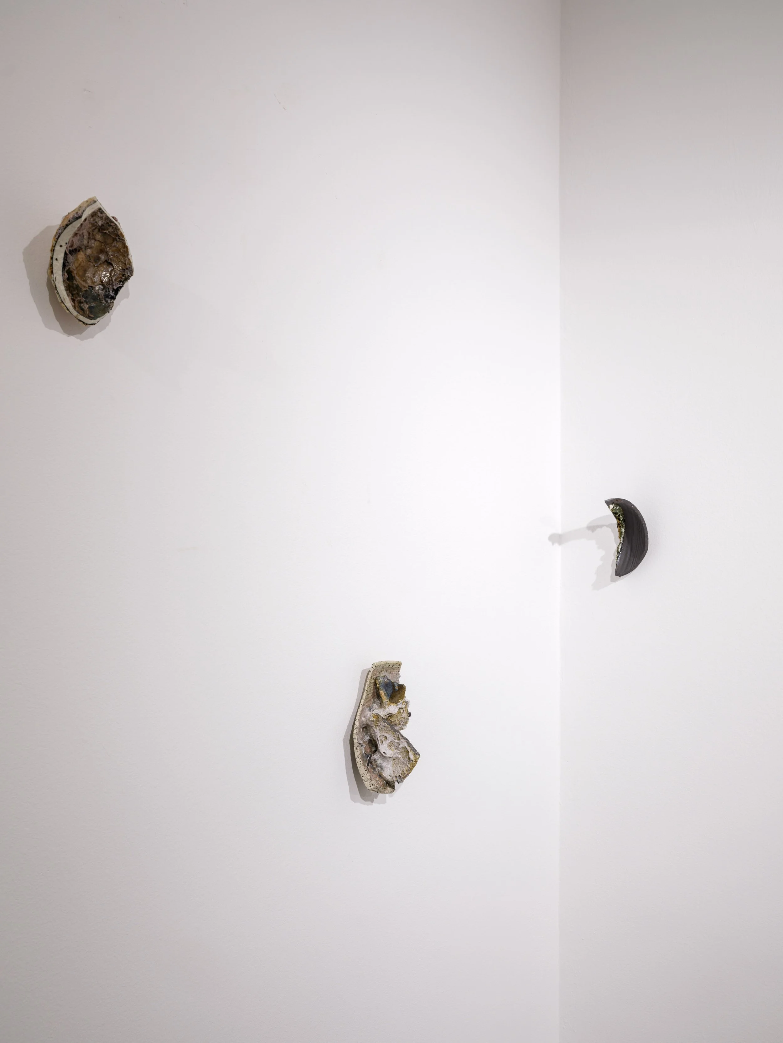 DSCF8220.jpg