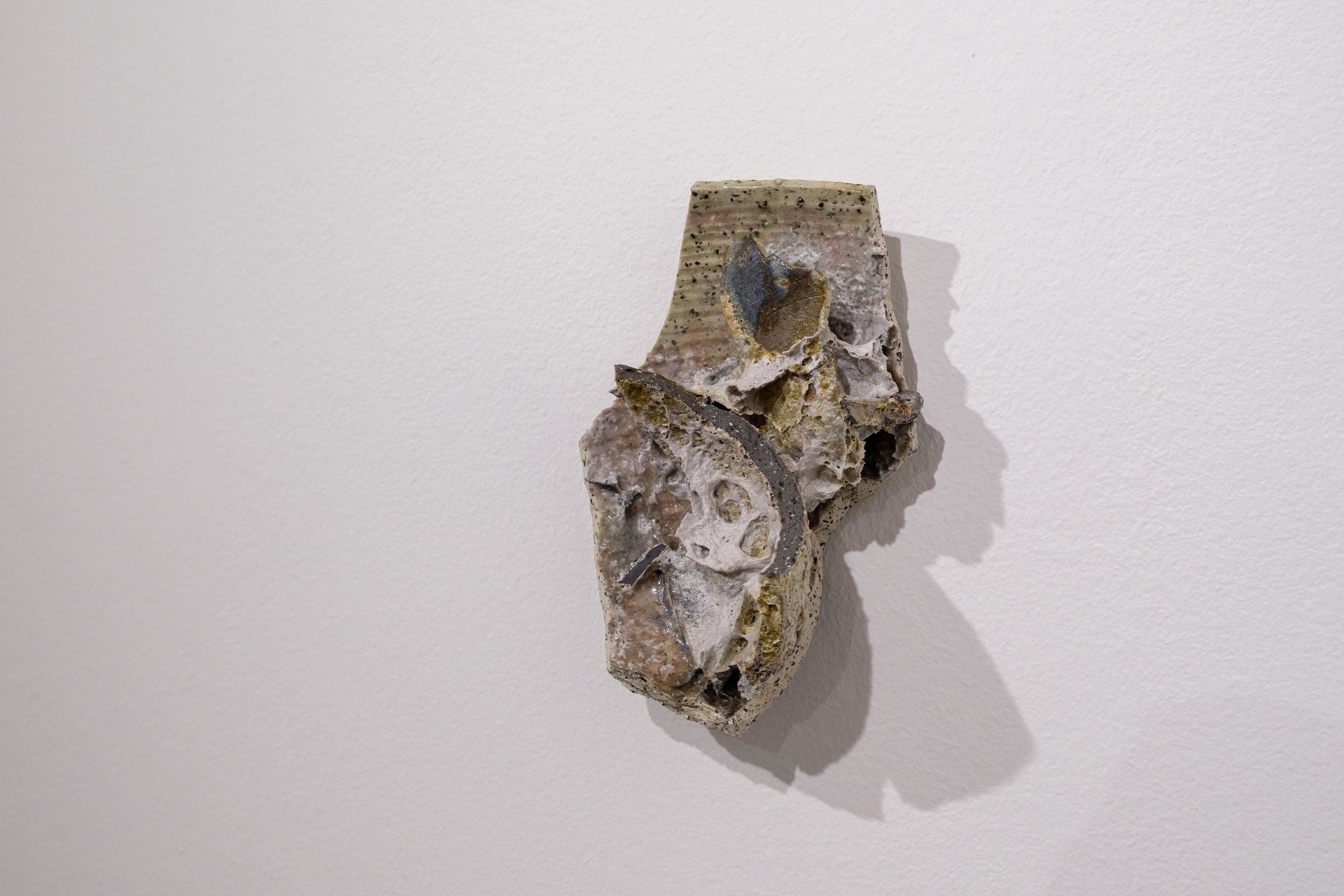 DSCF8424.jpg
