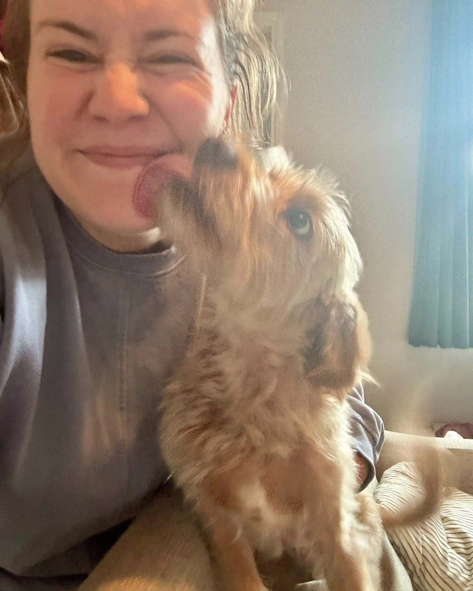 Luna loves to give kisses, and how can you refuse that adorable face! Her owners usually get a blurry mess of photos of me laughing my head off with little Luna bug 😆