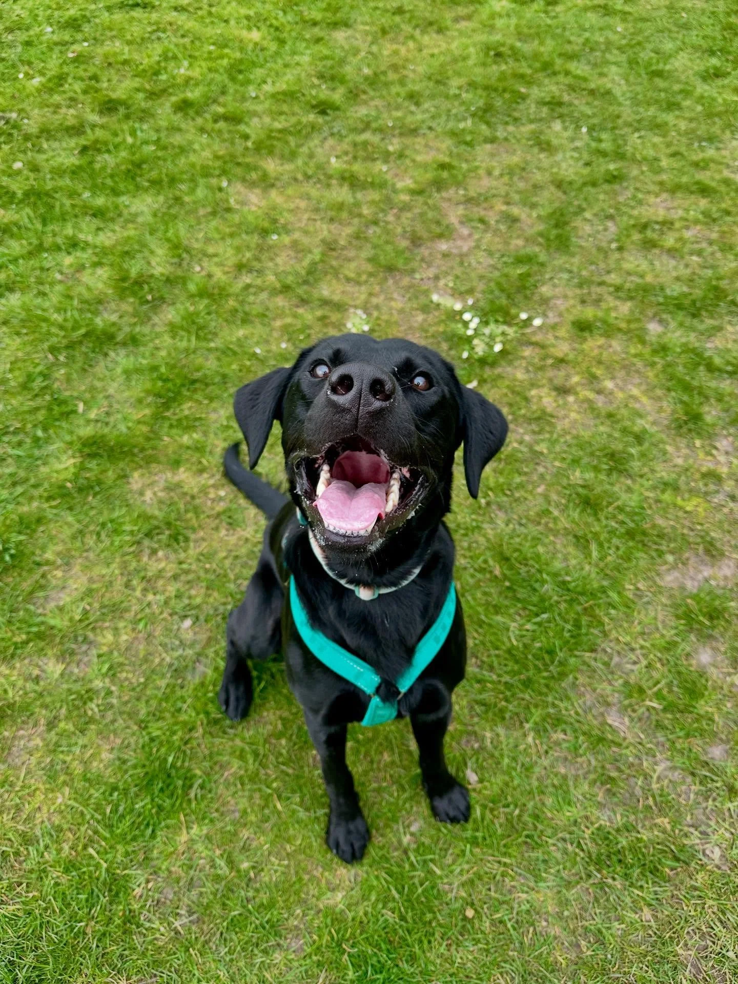 He&rsquo;s too adorable 😍