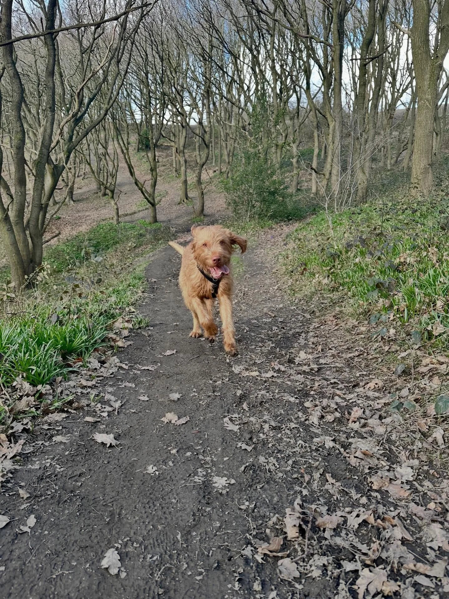 Happy hump day!! 🐾