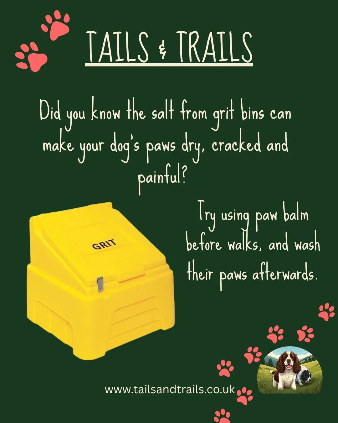 Did you know the salt from grit bins can make your dog's paws dry, cracked and painful?
Try using paw balm before walks, and wash their paws afterwards.

#dog #walkies #dogwalk #professionaldogwalker #petcare #dogwalker #pudsey #localbusiness