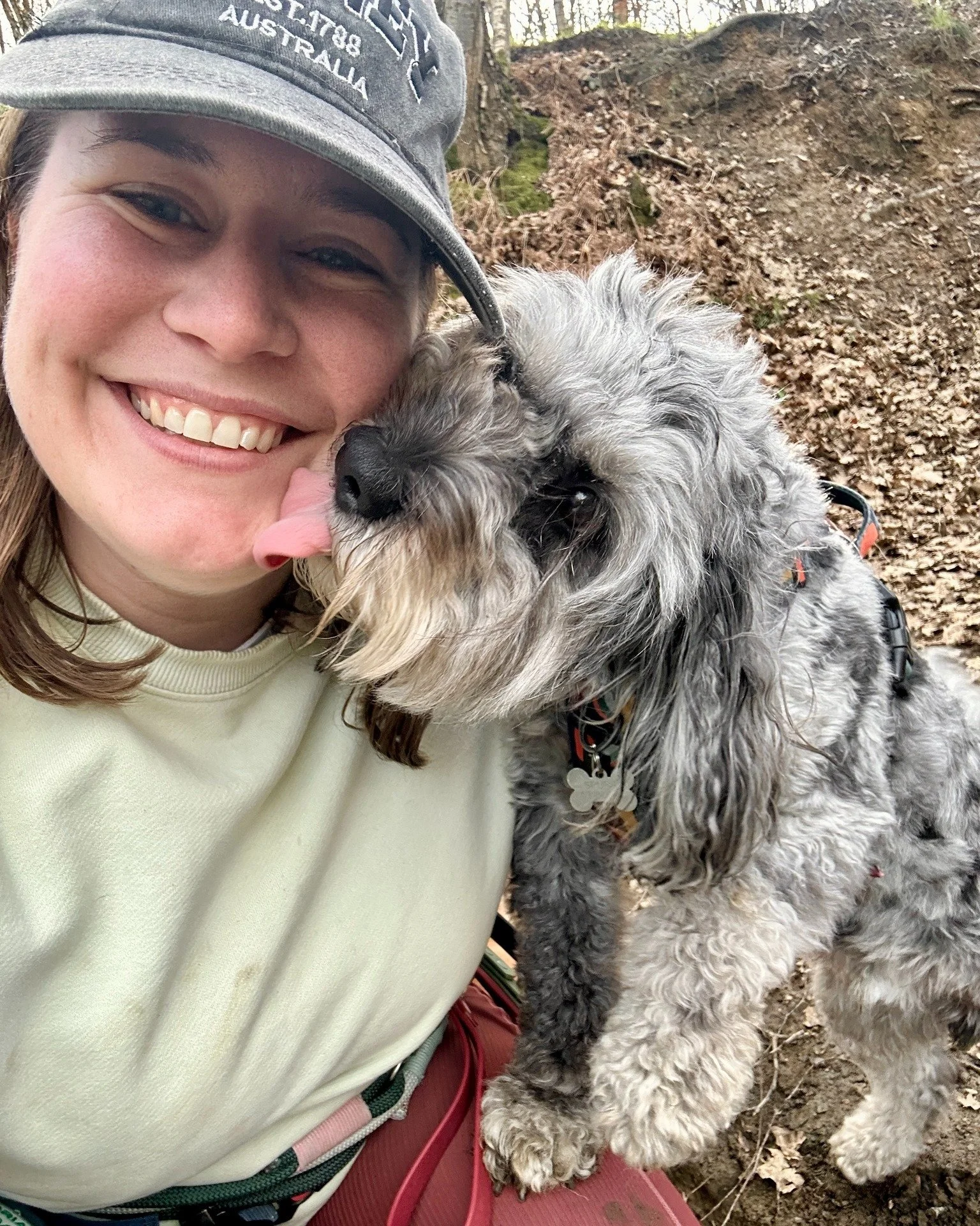 Have a great weekend everyone! 🐾

#dog #doglover #dogwalk #walkies #cockapoo #dogkisses #dogwalker #professionaldogwalker #pudseydogwalker #pudsey #localbusiness