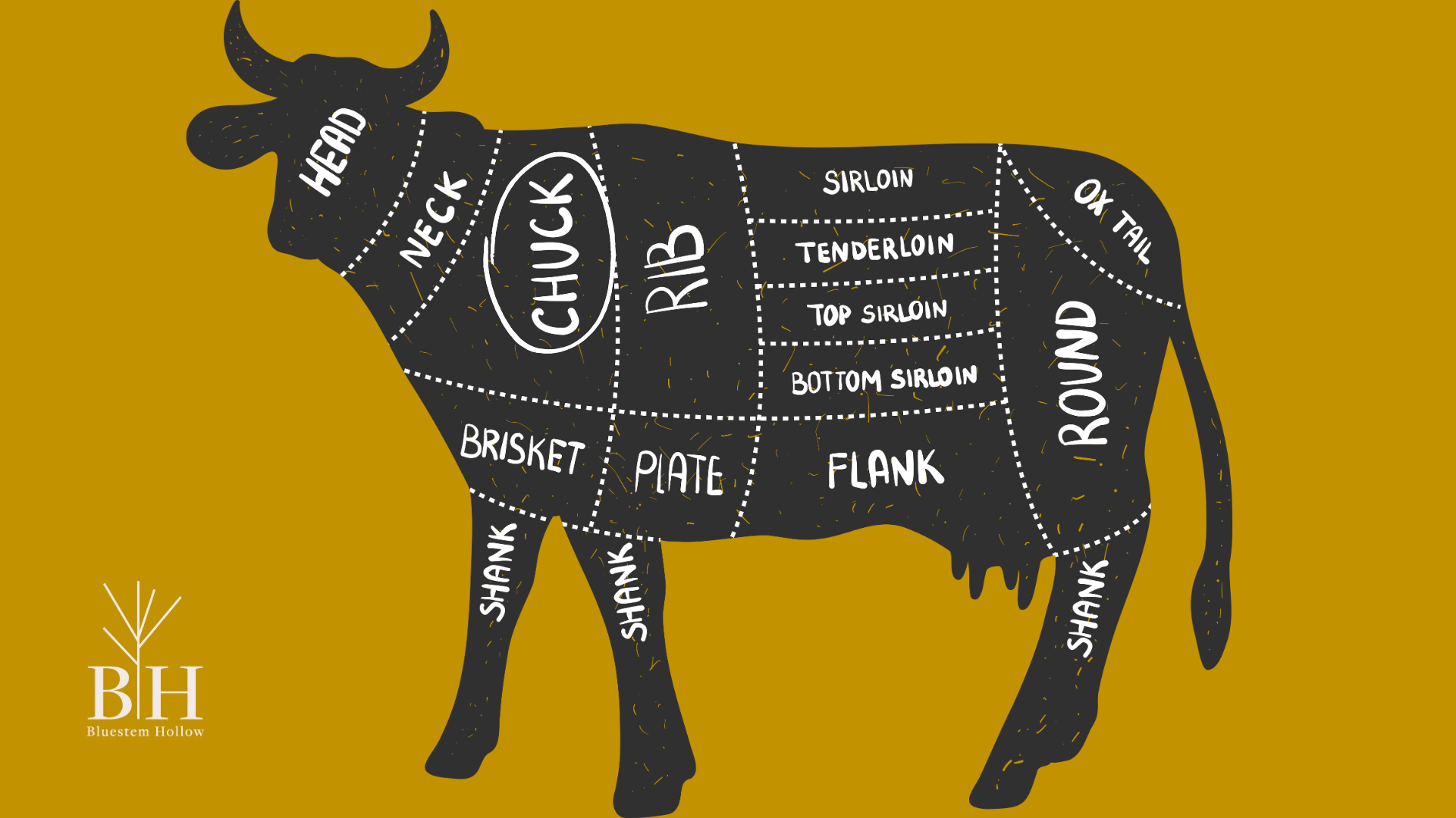 Filet Mignon Cow Diagram